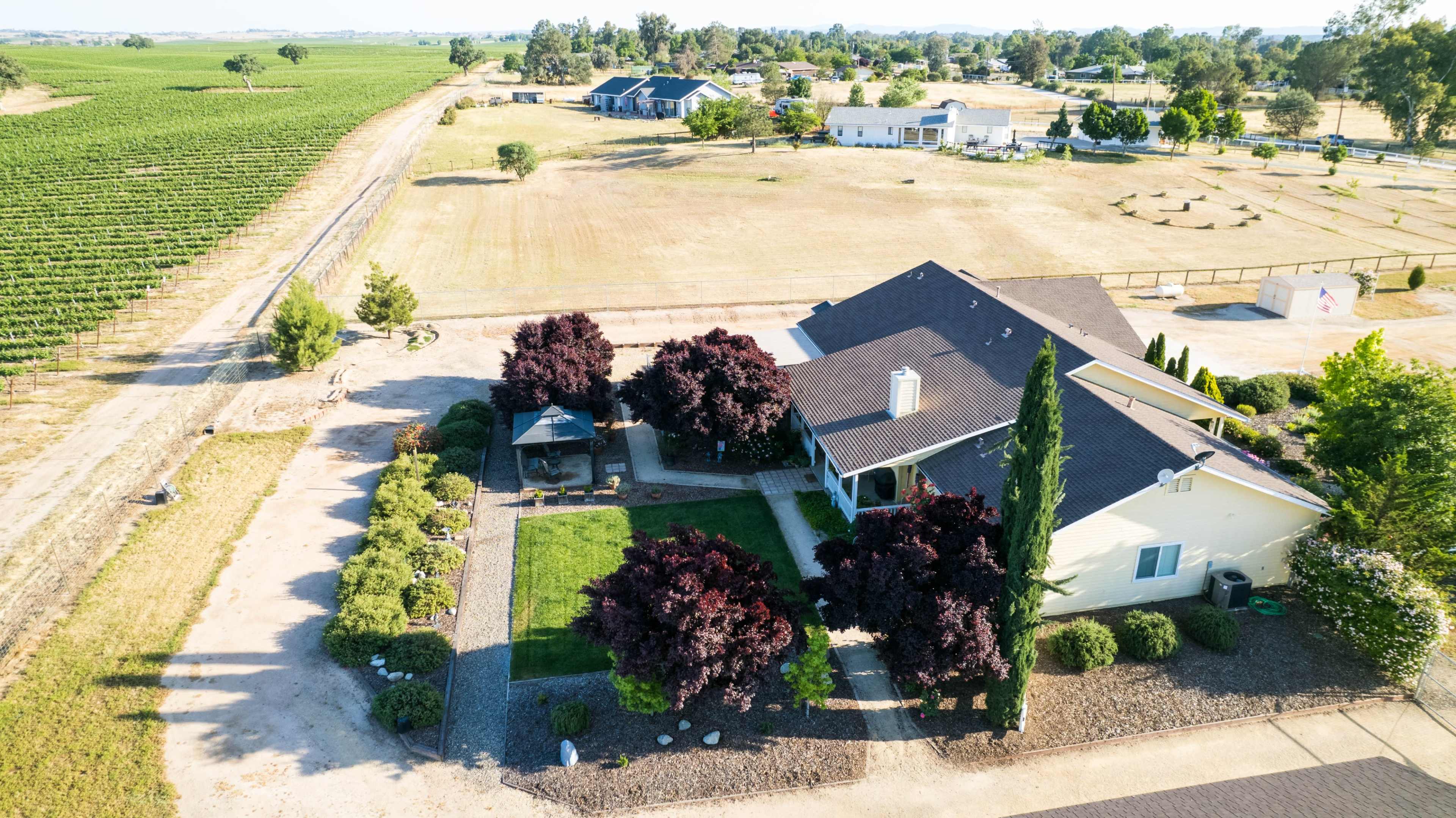 A residential property with a house and manicured lawn surrounded by trees, adjacent to a vineyard and open fields.