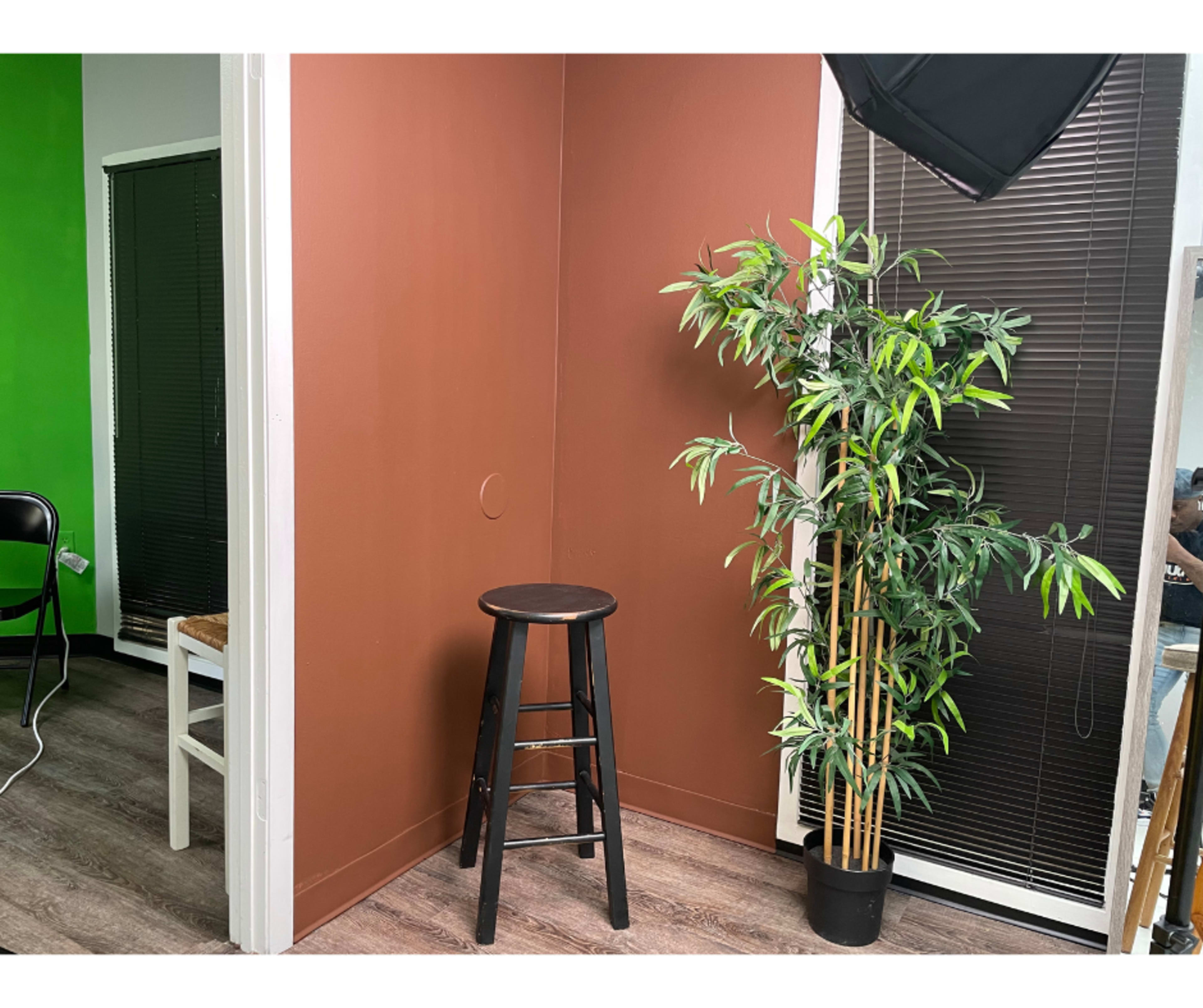 A small room corner with a brown-painted wall, a black stool, a potted plant, and a green wall in the background.
