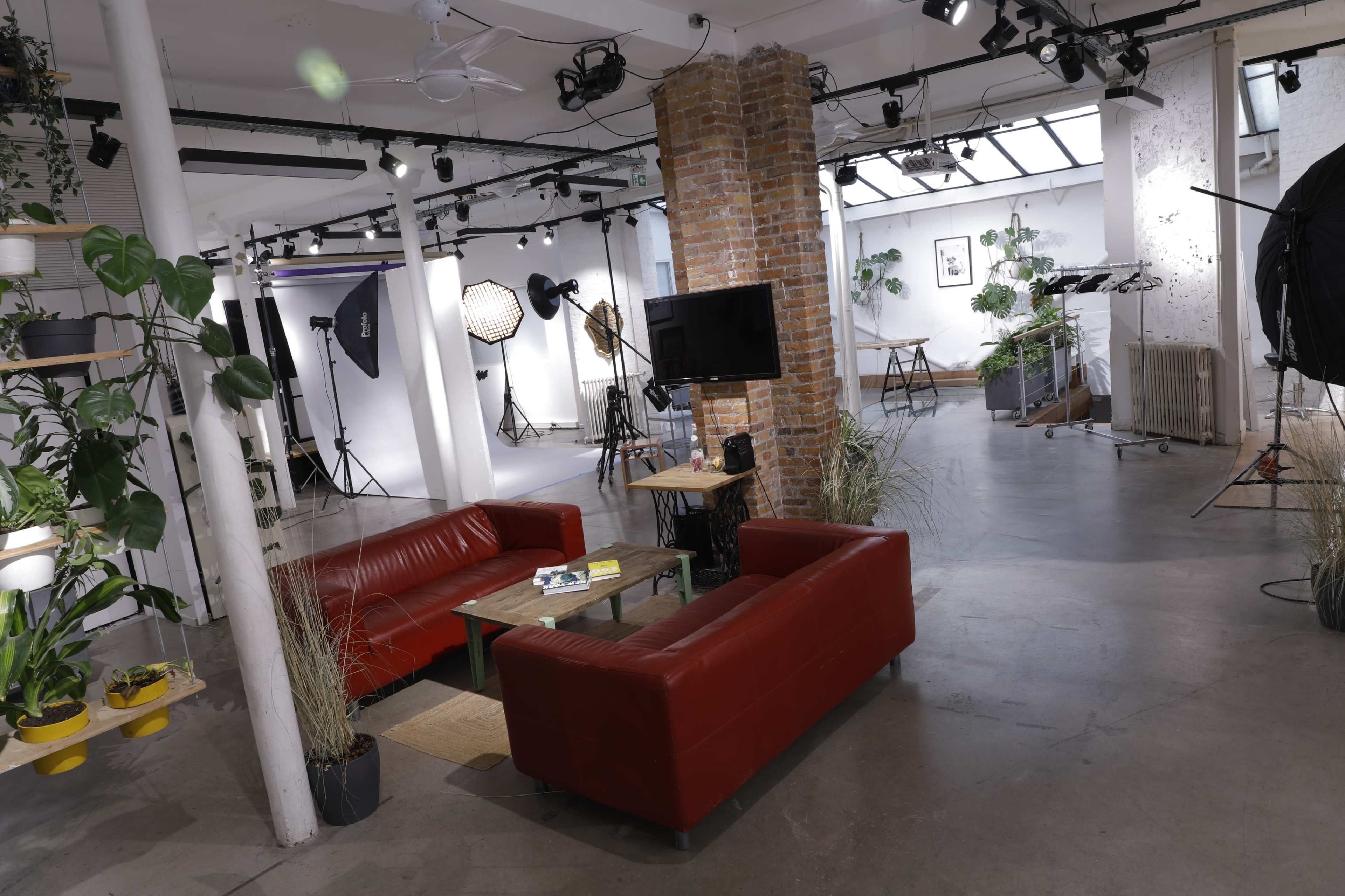 The image shows a spacious photography studio featuring red sofas, creative lighting equipment, and various indoor plants.