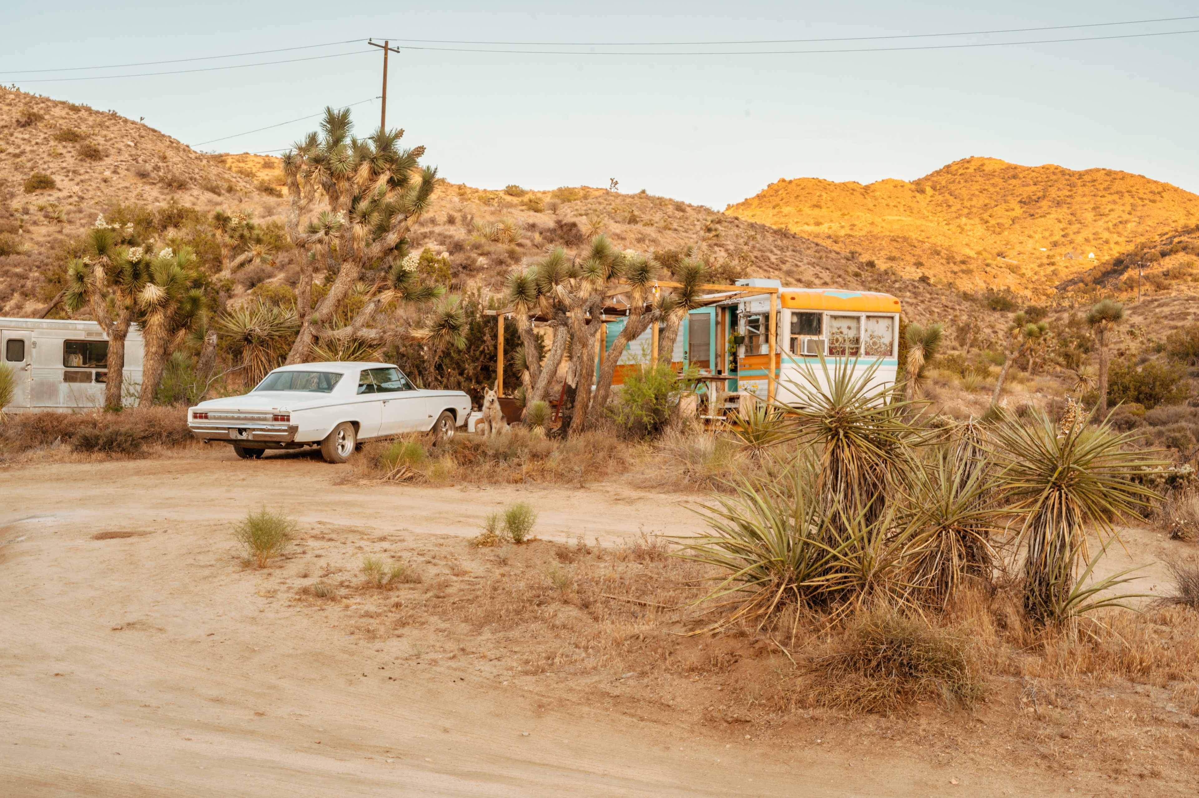 A white classic car is parked beside a colorful vintage bus on a dirt road surrounded by desert vegetation and mountains.