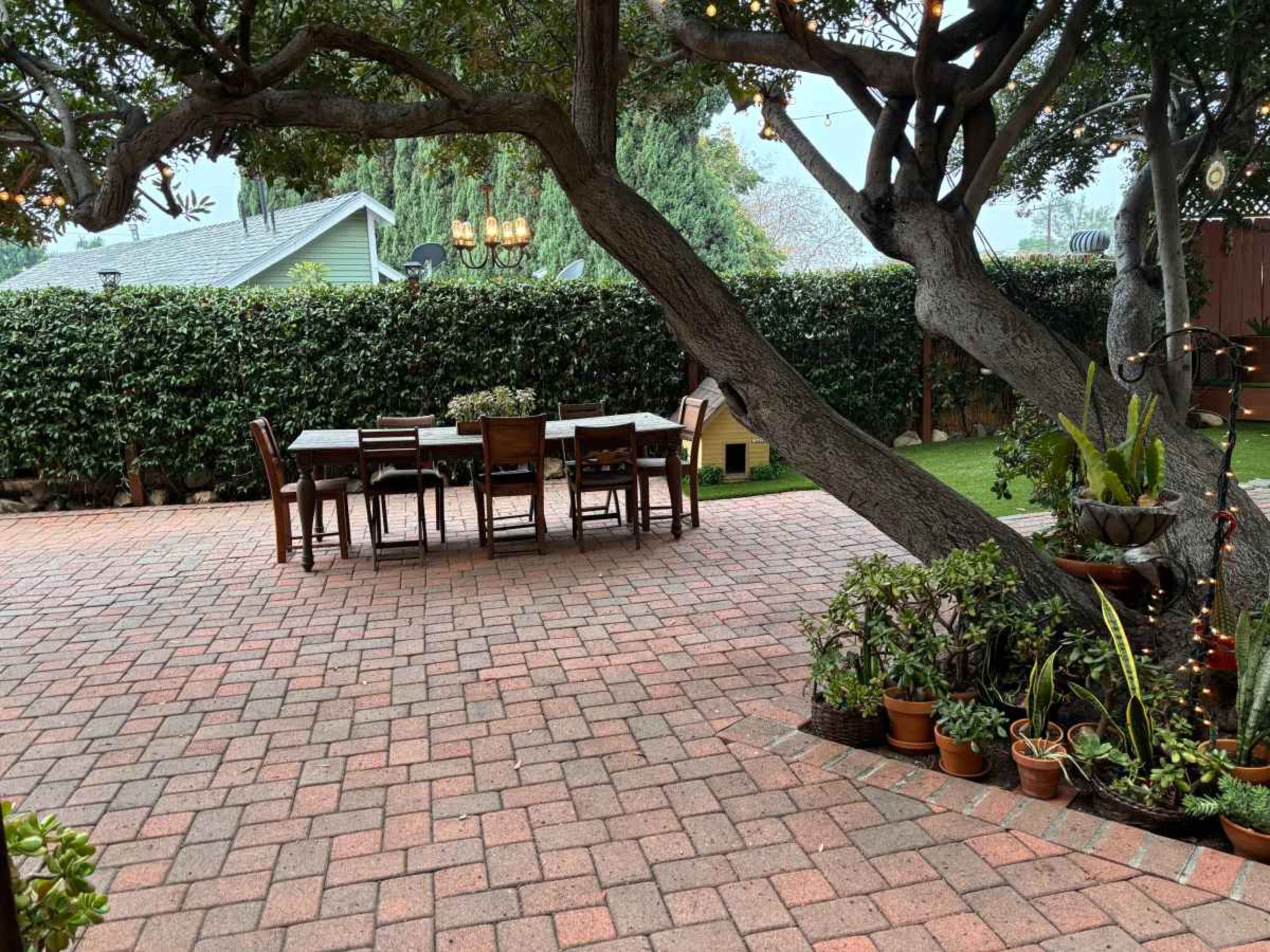 A brick patio features a wooden dining table with chairs surrounded by potted plants and a lush green hedge.