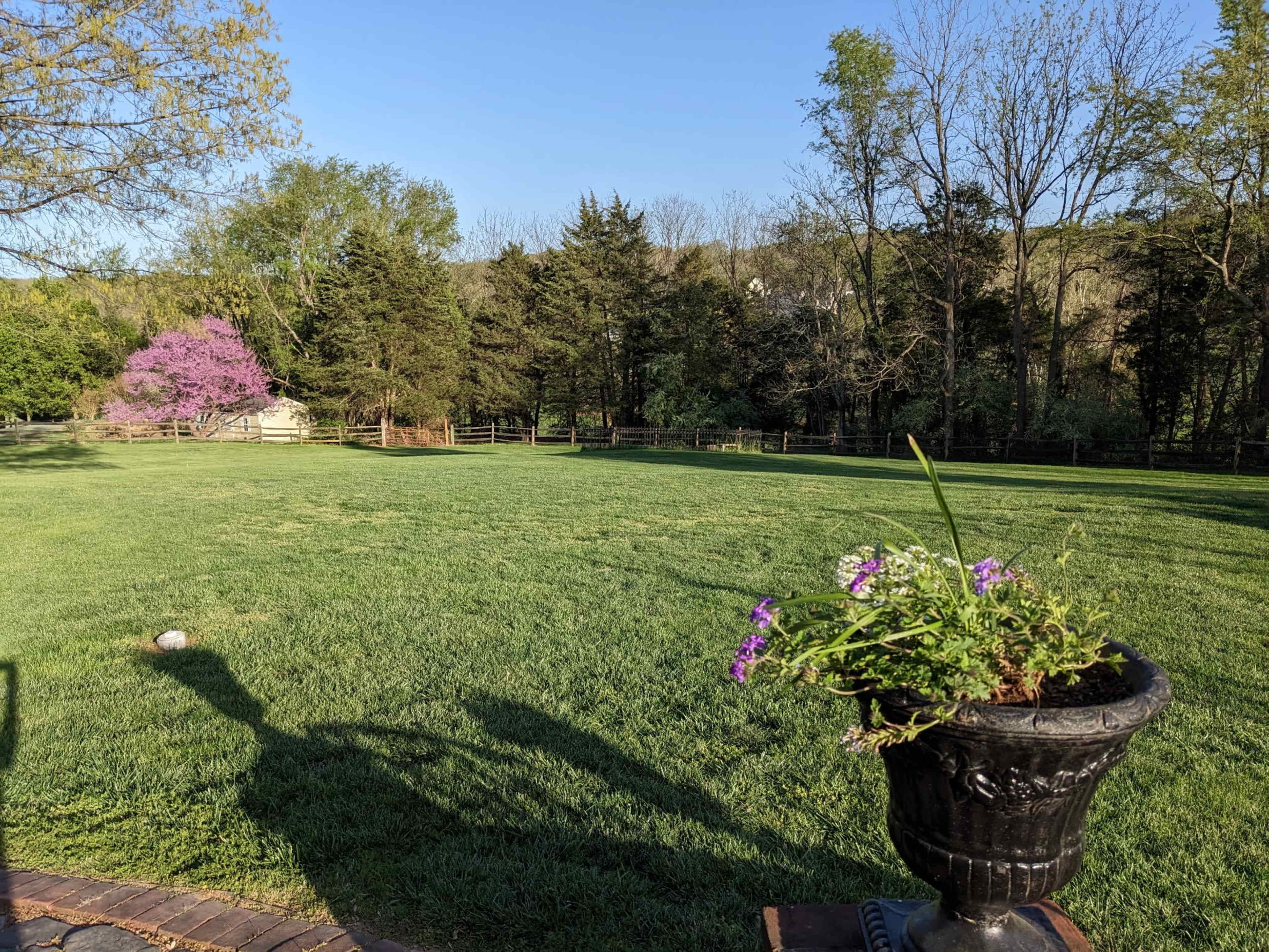 A well-maintained lawn is visible, featuring a flowerpot with blooming purple flowers in the foreground and trees lining the background under a clear blue sky.