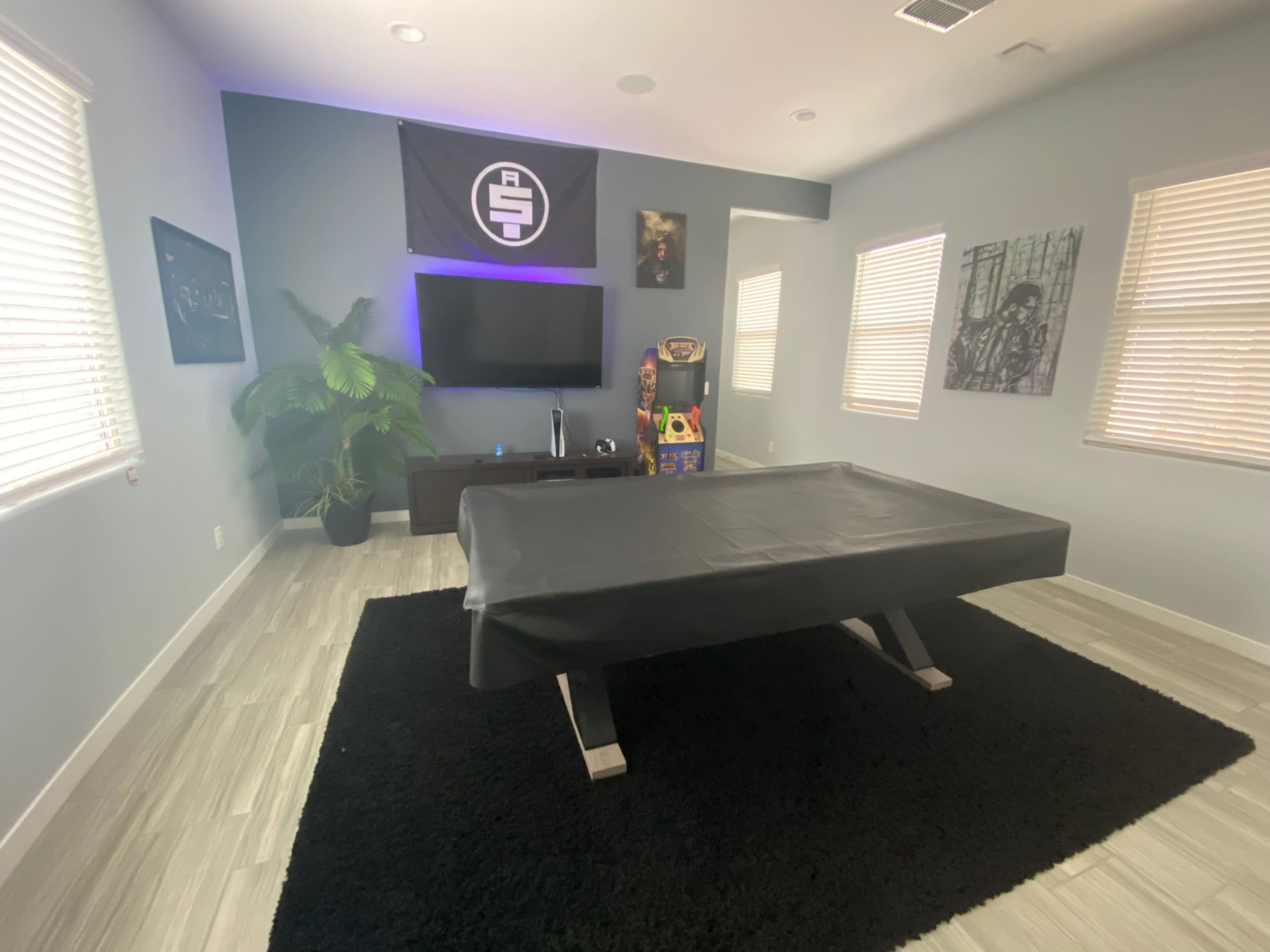 The room features a black pool table at its center, with a large television mounted on the wall and a plant in the corner.