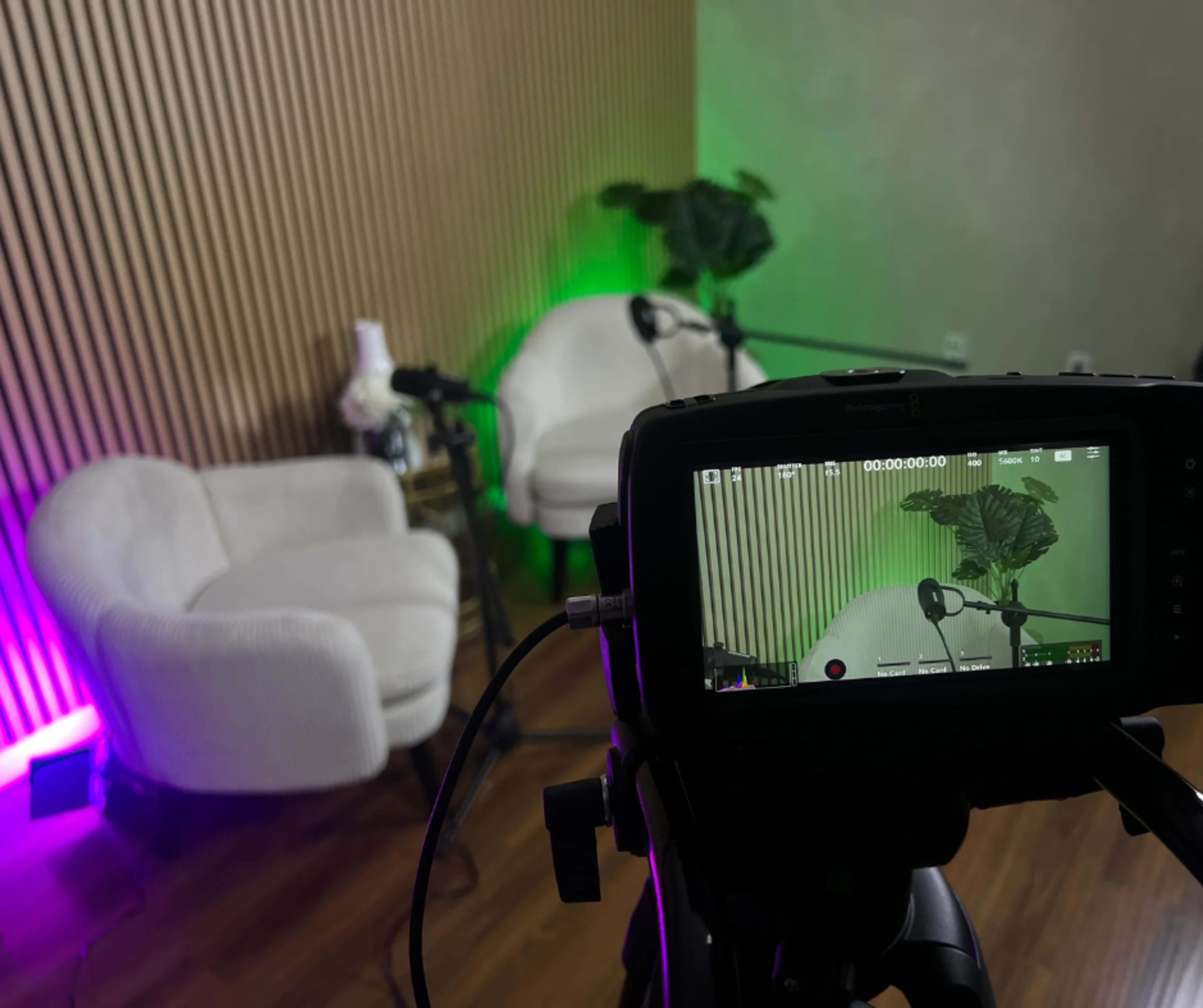 The image shows a camera recording a cozy podcast setup featuring two white chairs and plants, with colorful lighting in the background.
