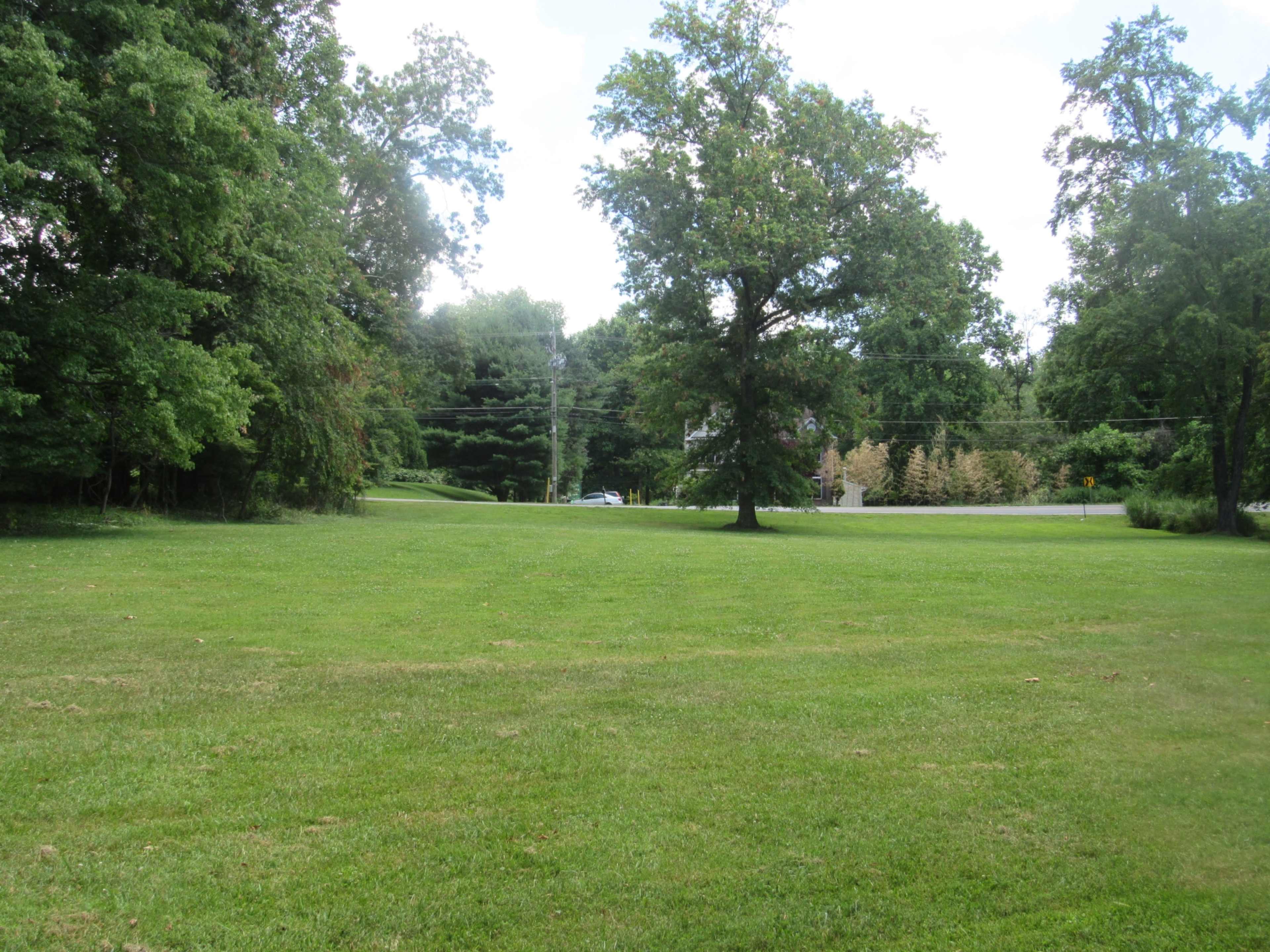A grassy field bordered by trees and a road is visible in the scene.