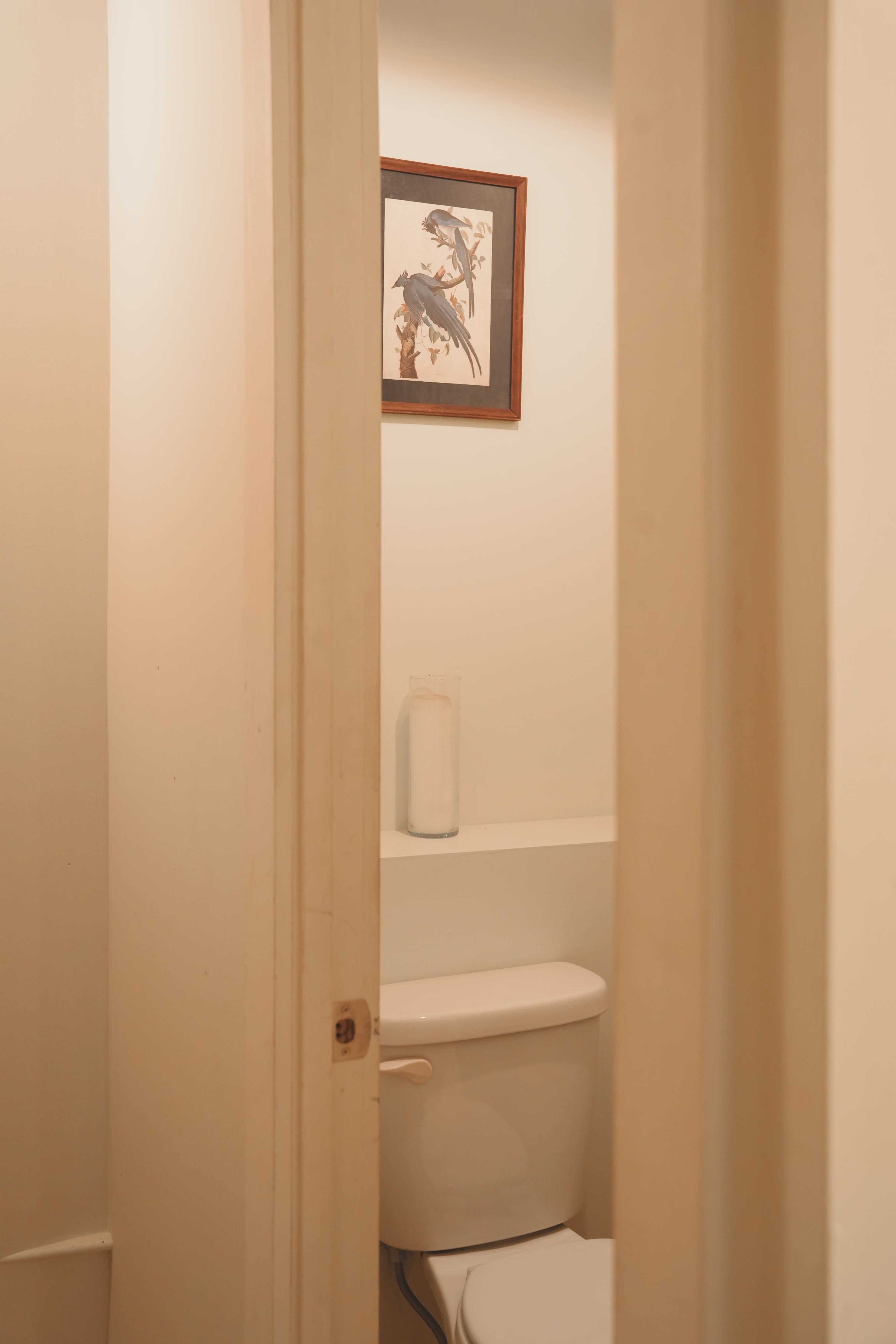 The image shows a bathroom with a partially open door, revealing a toilet and a framed picture of birds on the wall.