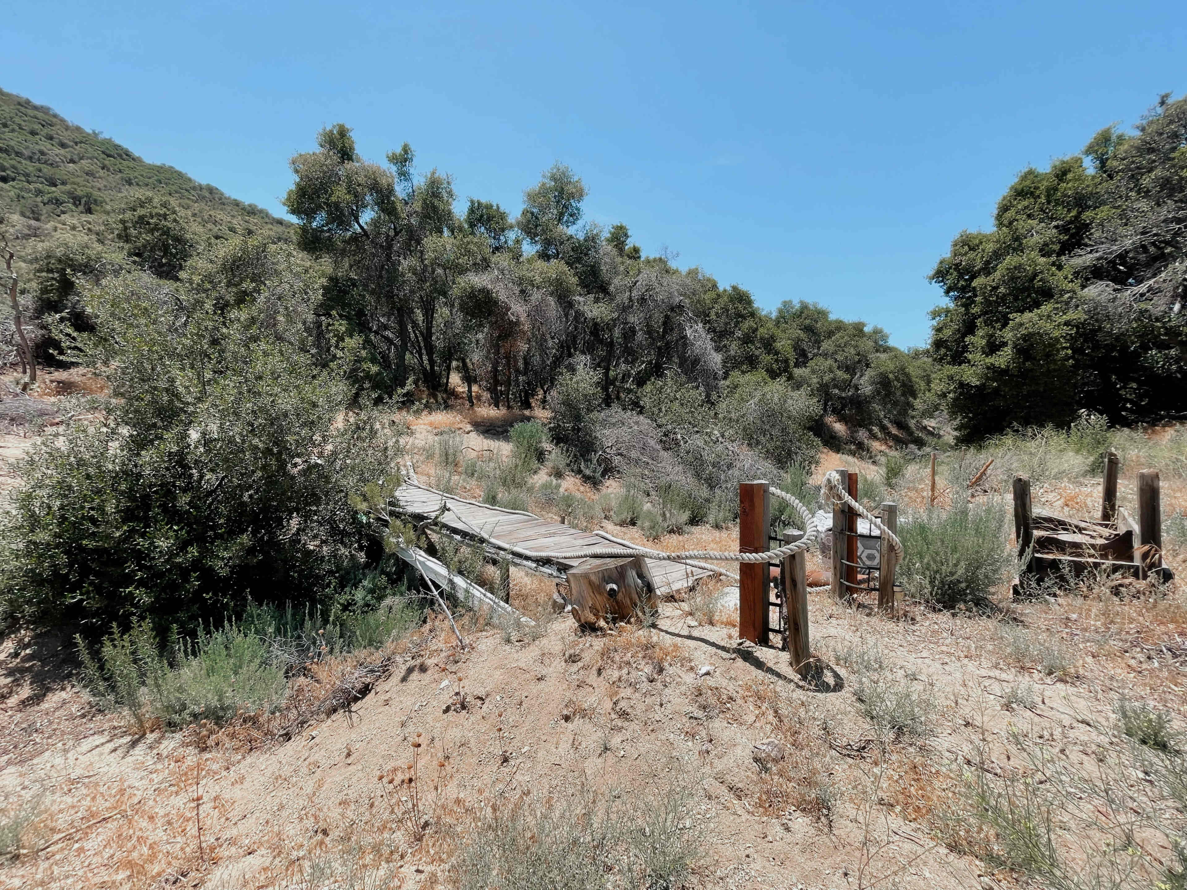 Expansive Mountain, Forest, Woods, Desert Backdrops Image in Leona Valley, Leona Valley, CA