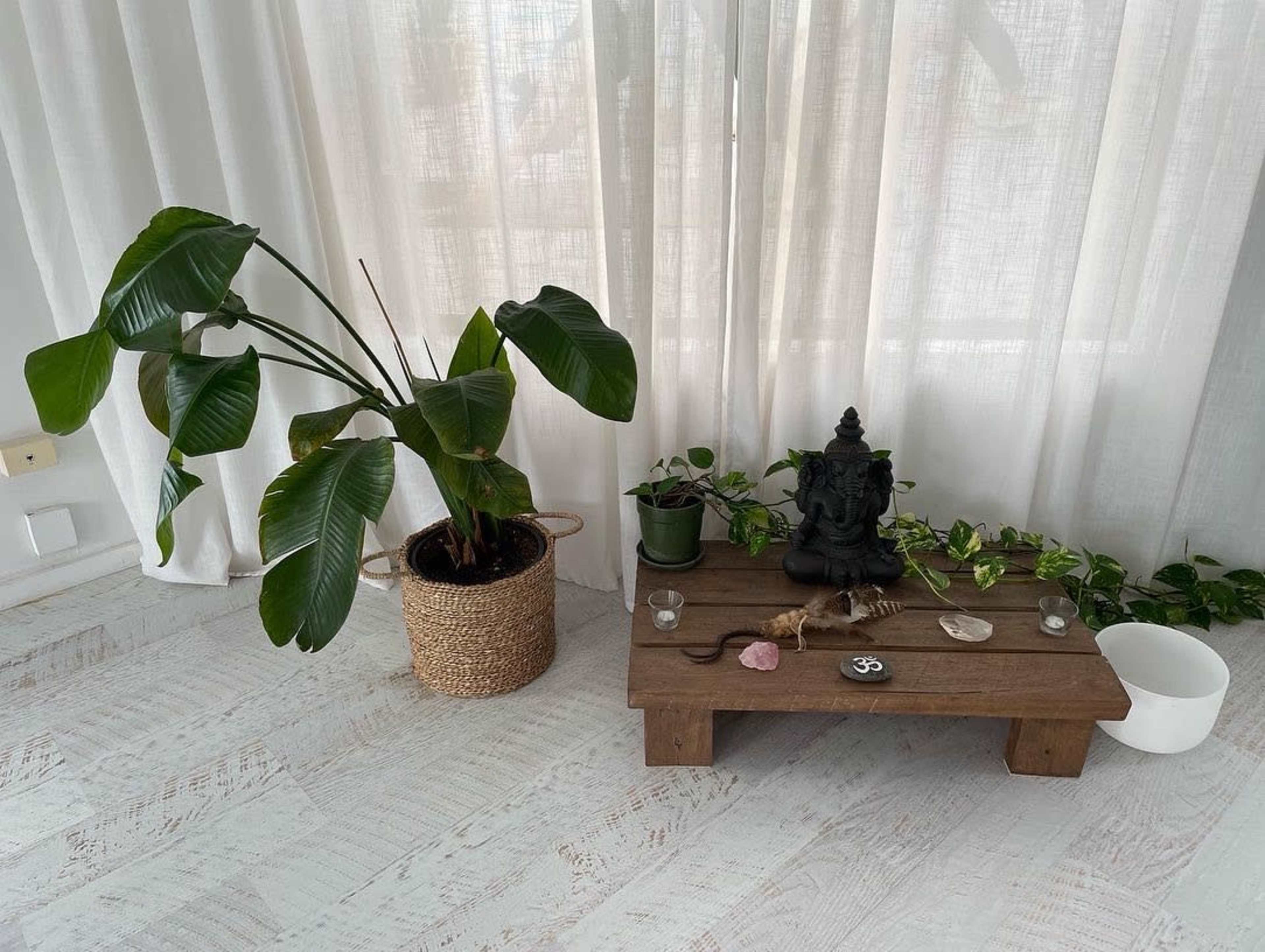 The scene shows a wooden table adorned with crystals and a small statue, surrounded by houseplants, including a large leafy plant in a woven basket.