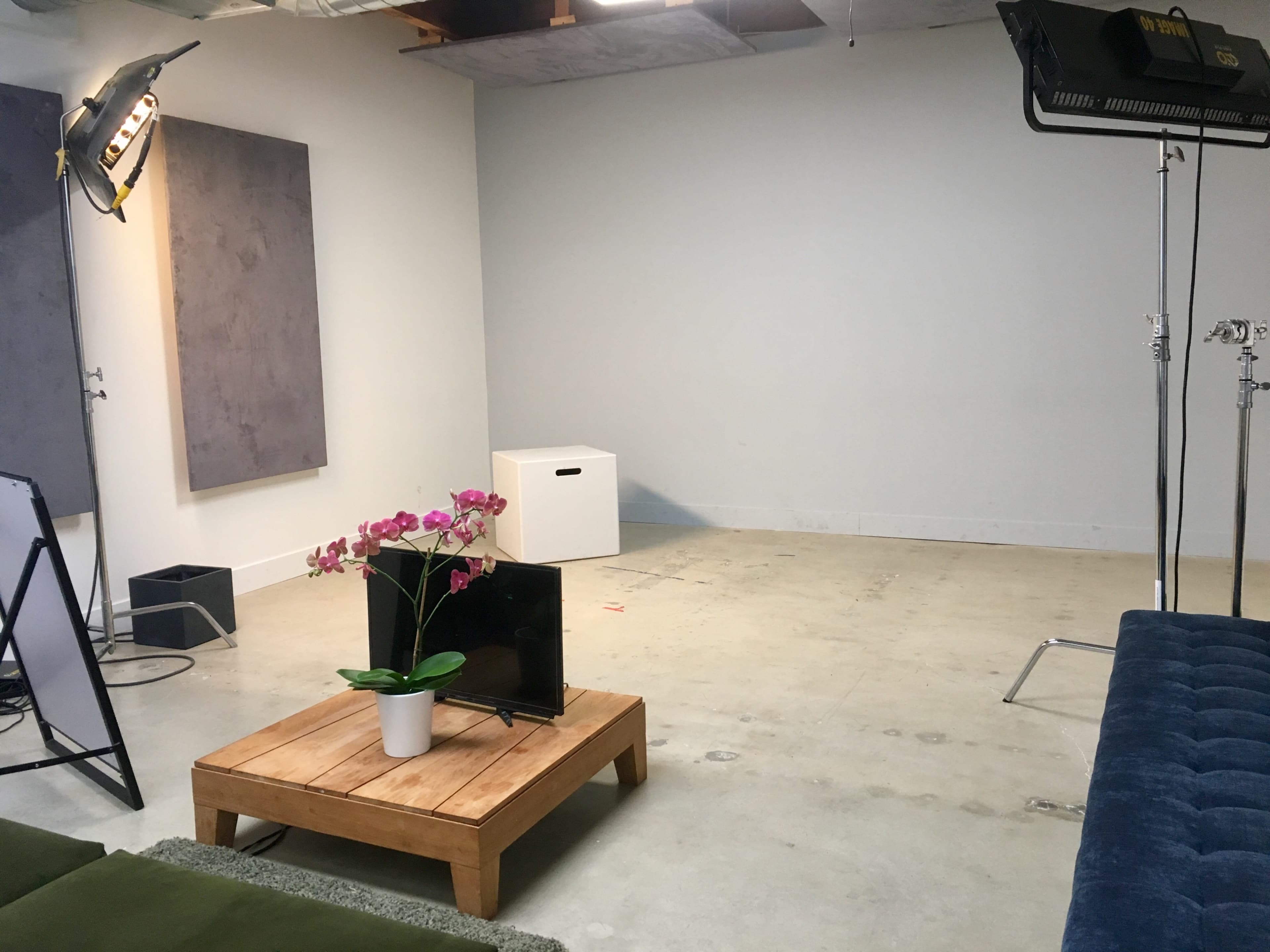 The image shows a minimalist studio space with a wooden coffee table, a potted plant, and a television, surrounded by lighting equipment and blank wall canvases.