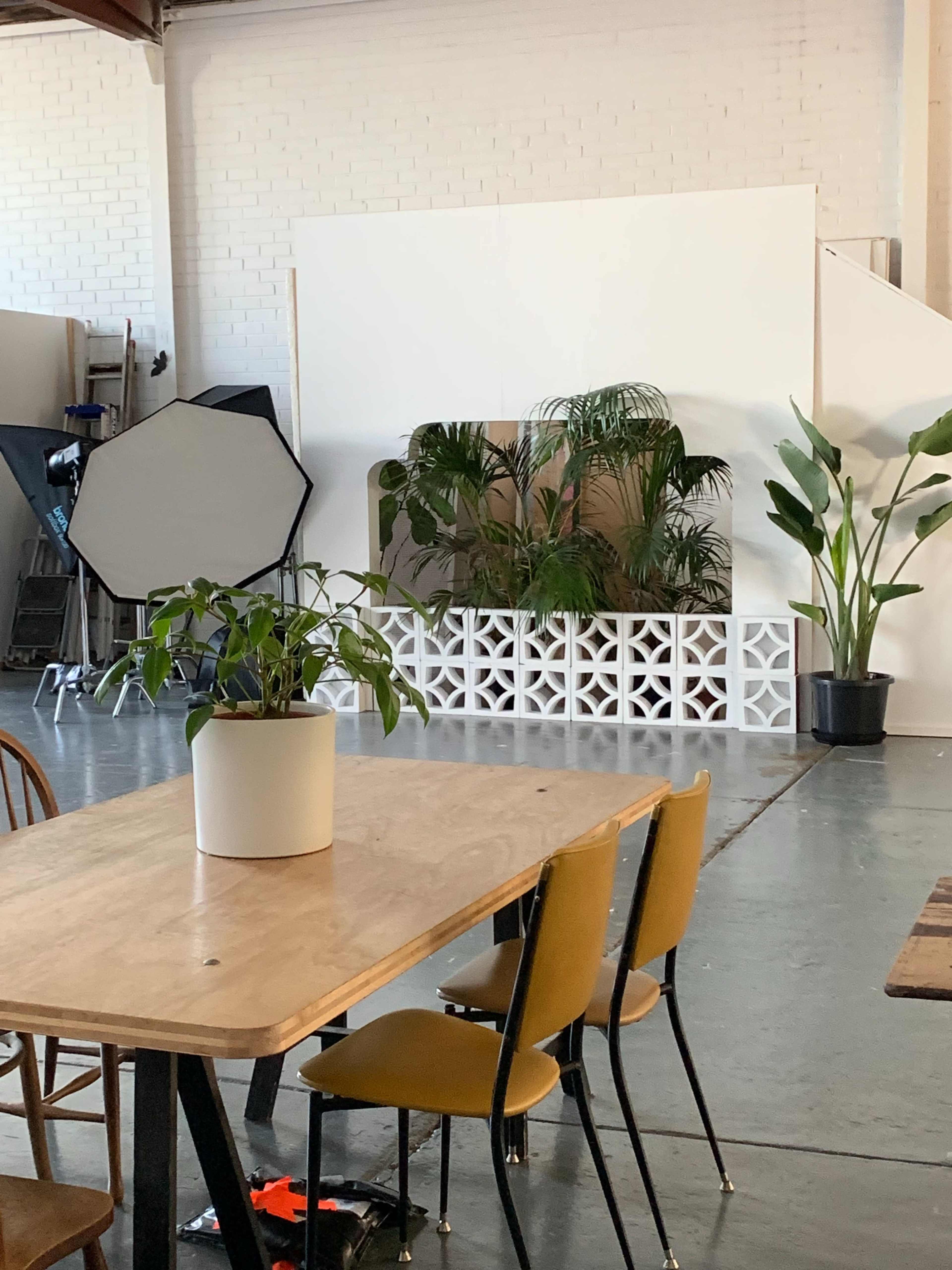 The image shows an indoor space featuring a wooden table with yellow chairs, a large white backdrop with plants, and a photography setup in the background.