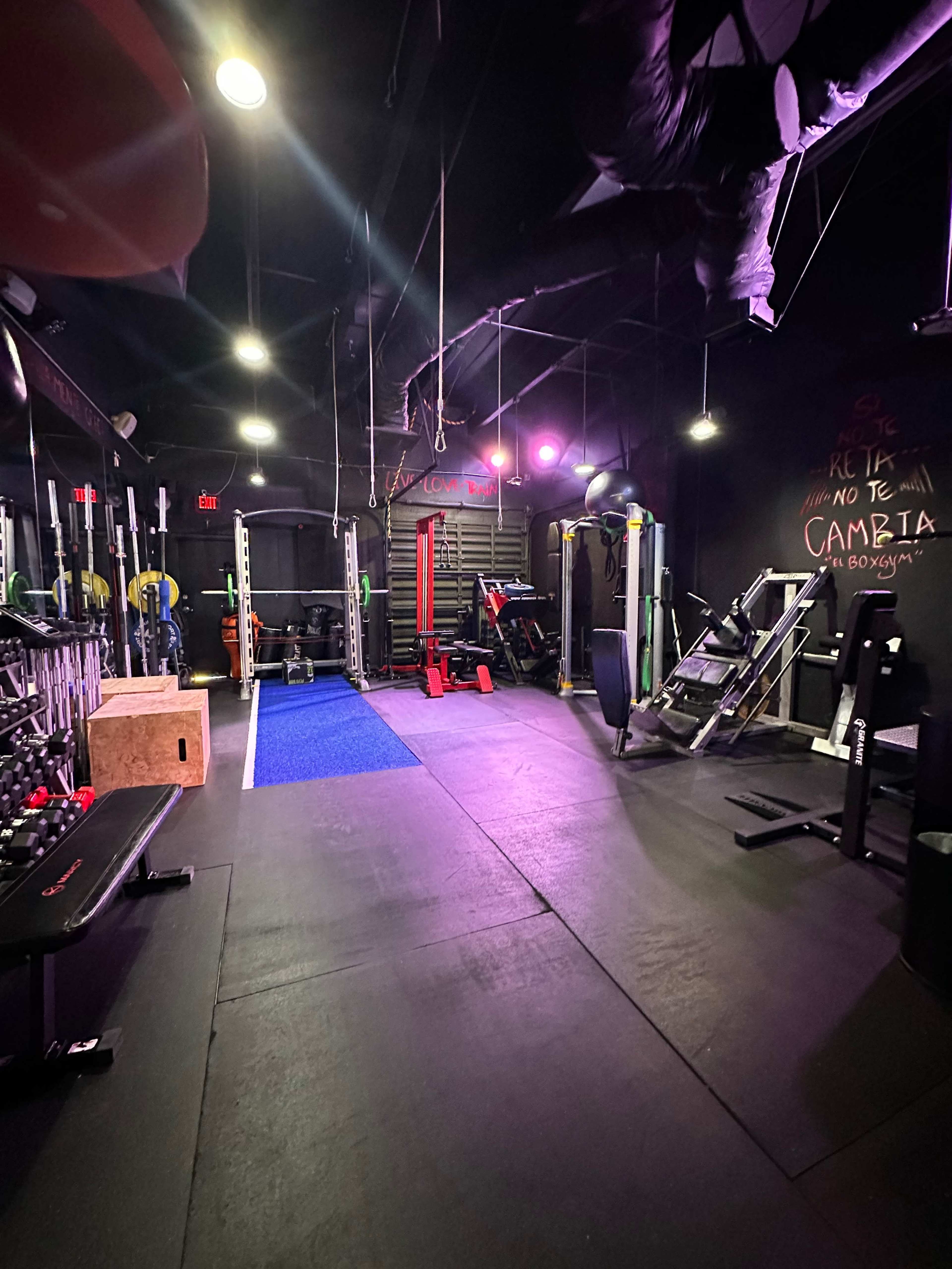 The image shows a well-equipped gym featuring various workout machines, weights, and a blue exercise mat in a dimly lit space with colorful lighting.