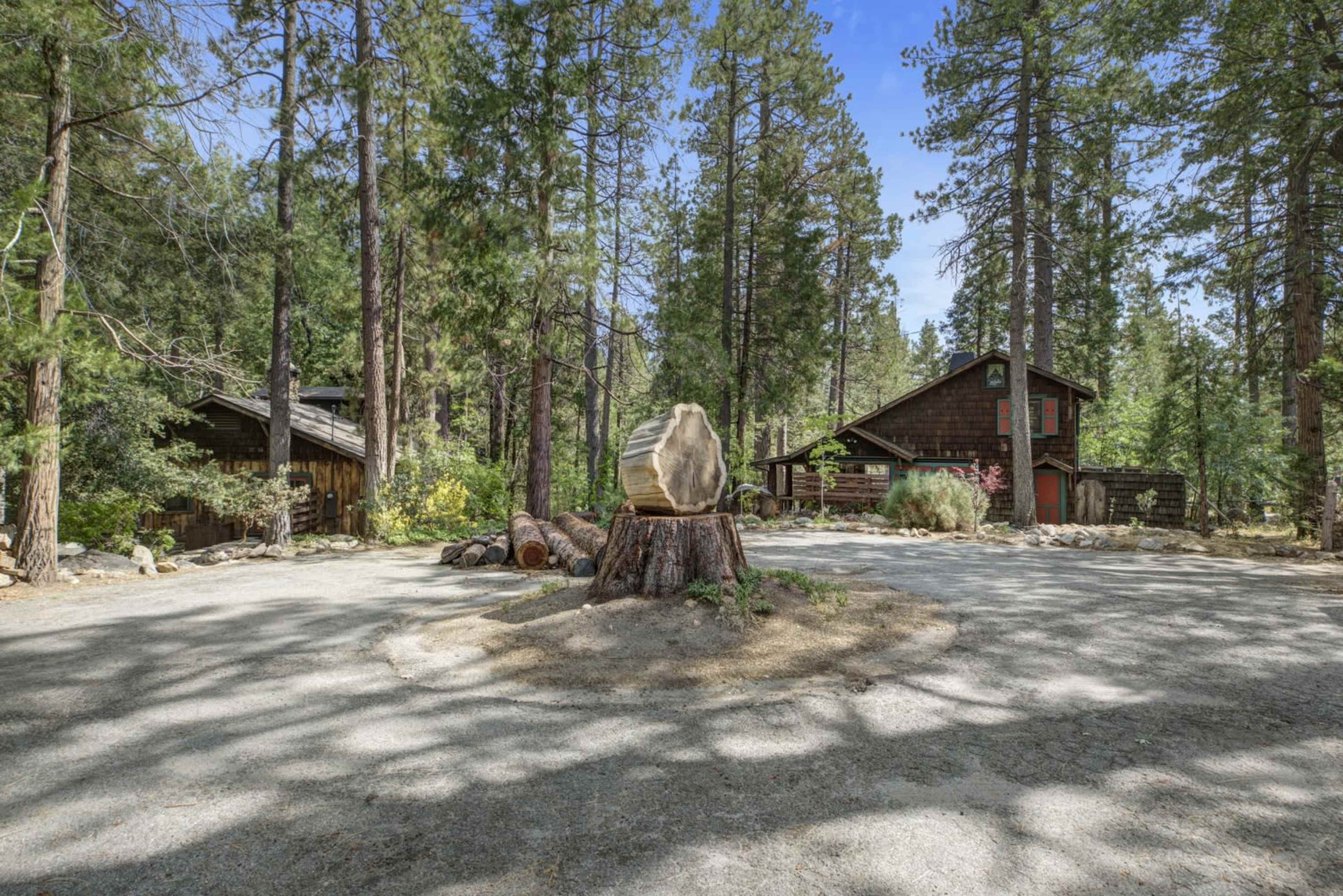 The image shows a rustic cabin nestled among tall pine trees, with a large tree stump in the foreground and a gravel driveway leading to the main house.