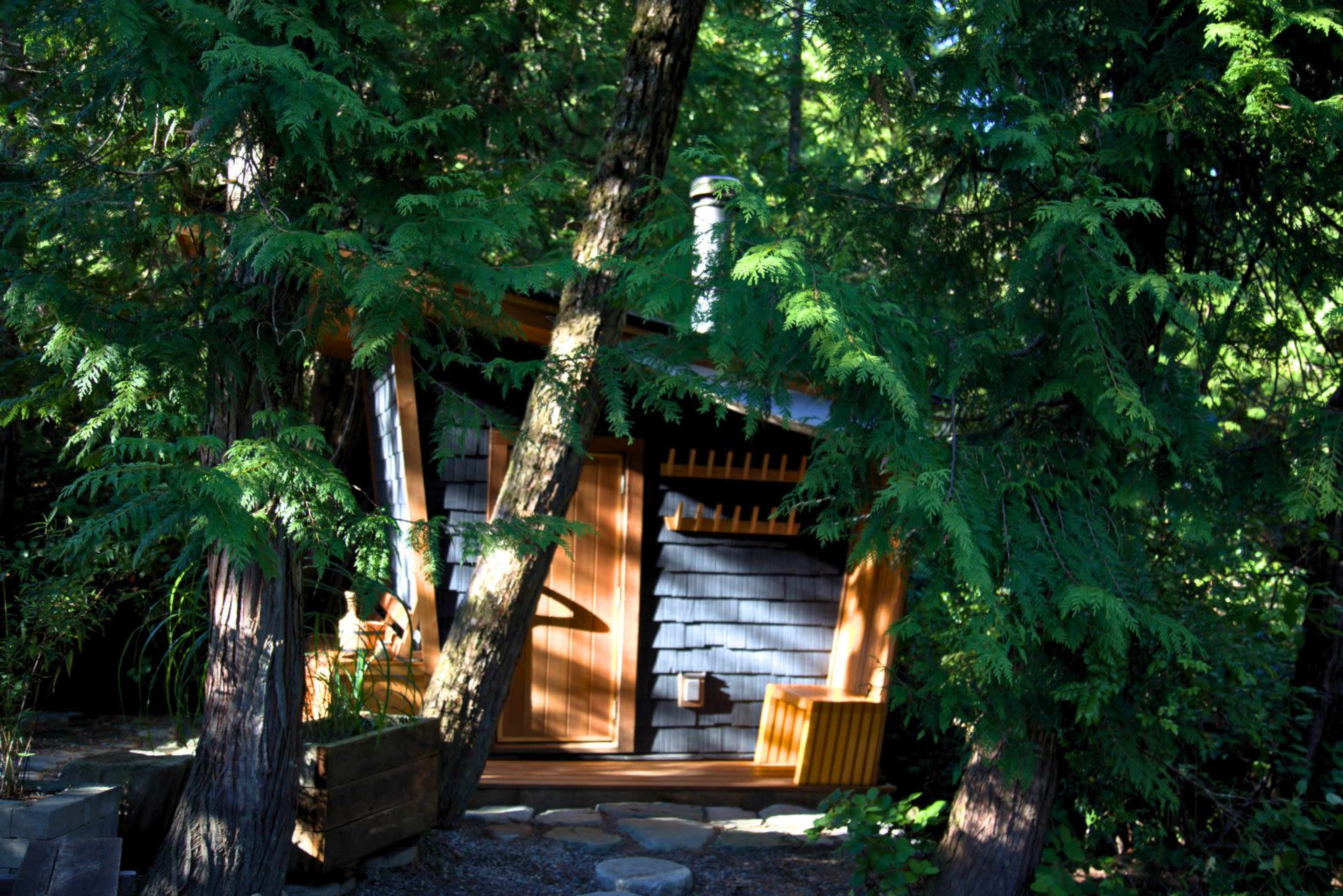 A small wooden cabin is surrounded by tall green trees, with a visible entrance and a stone pathway leading to it.
