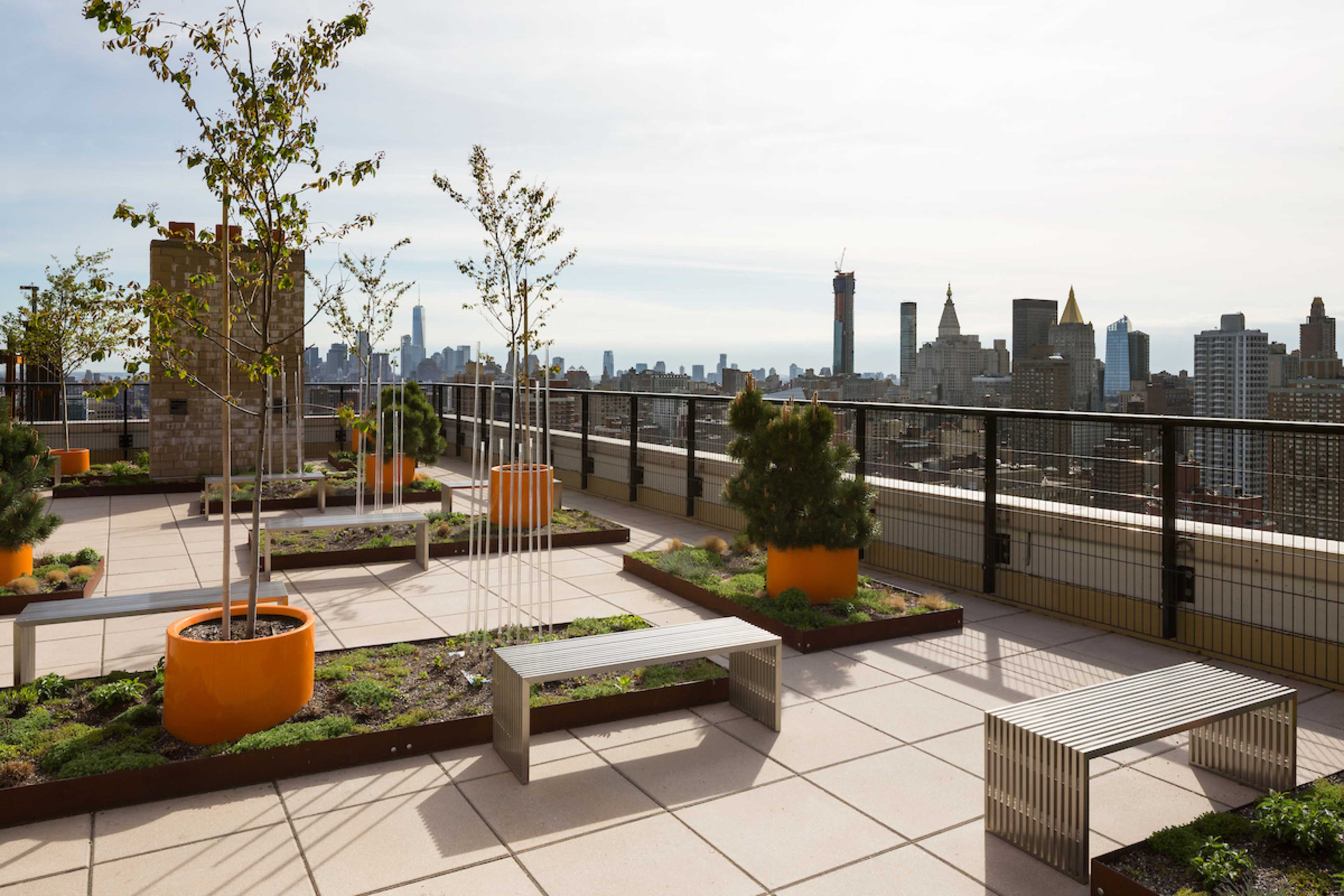 A rooftop garden with planters, benches, and a panoramic view of a city skyline.