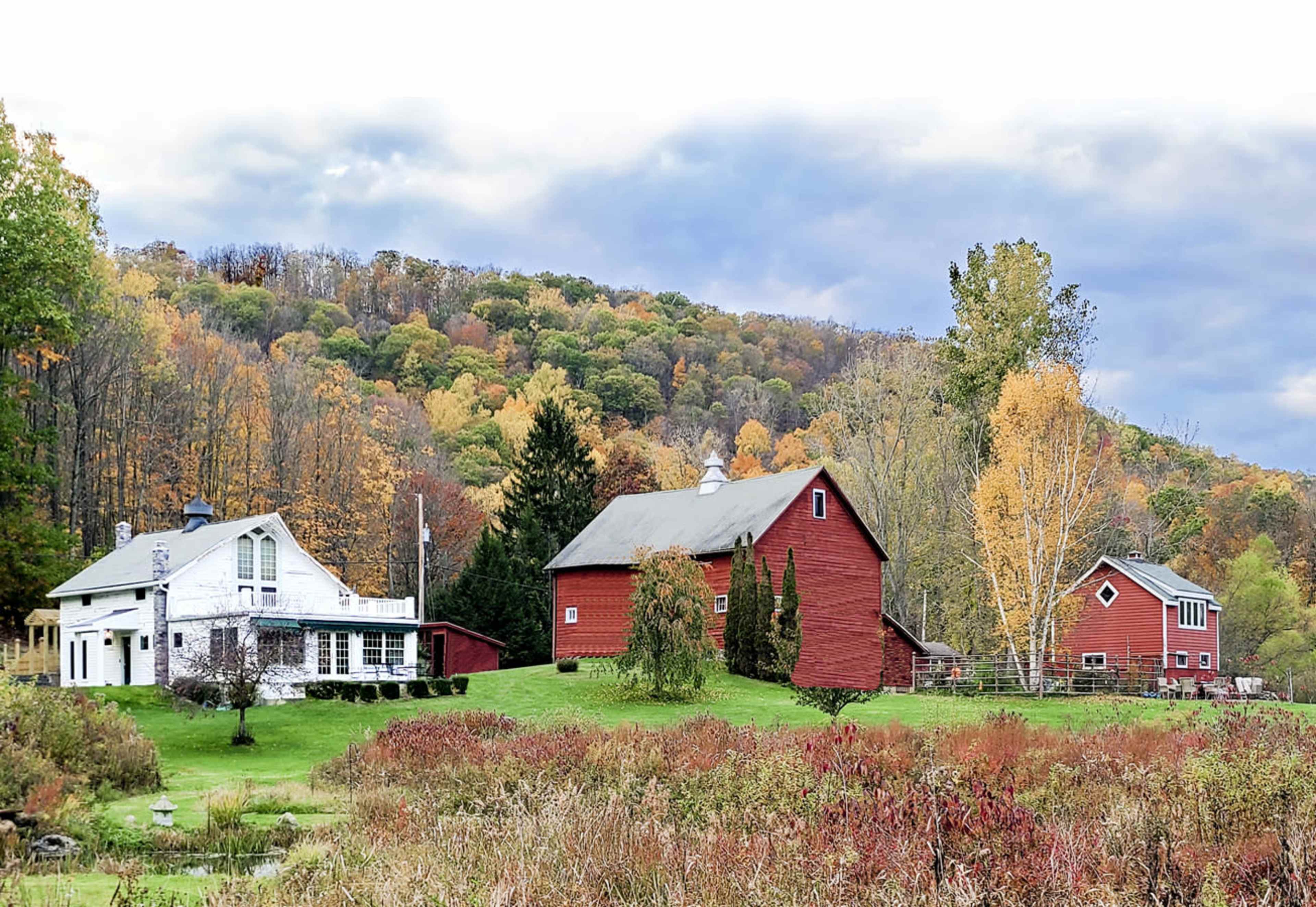 A group of three distinct buildings, including a white farmhouse and two red barns, is set against a backdrop of colorful autumn foliage on a hillside.