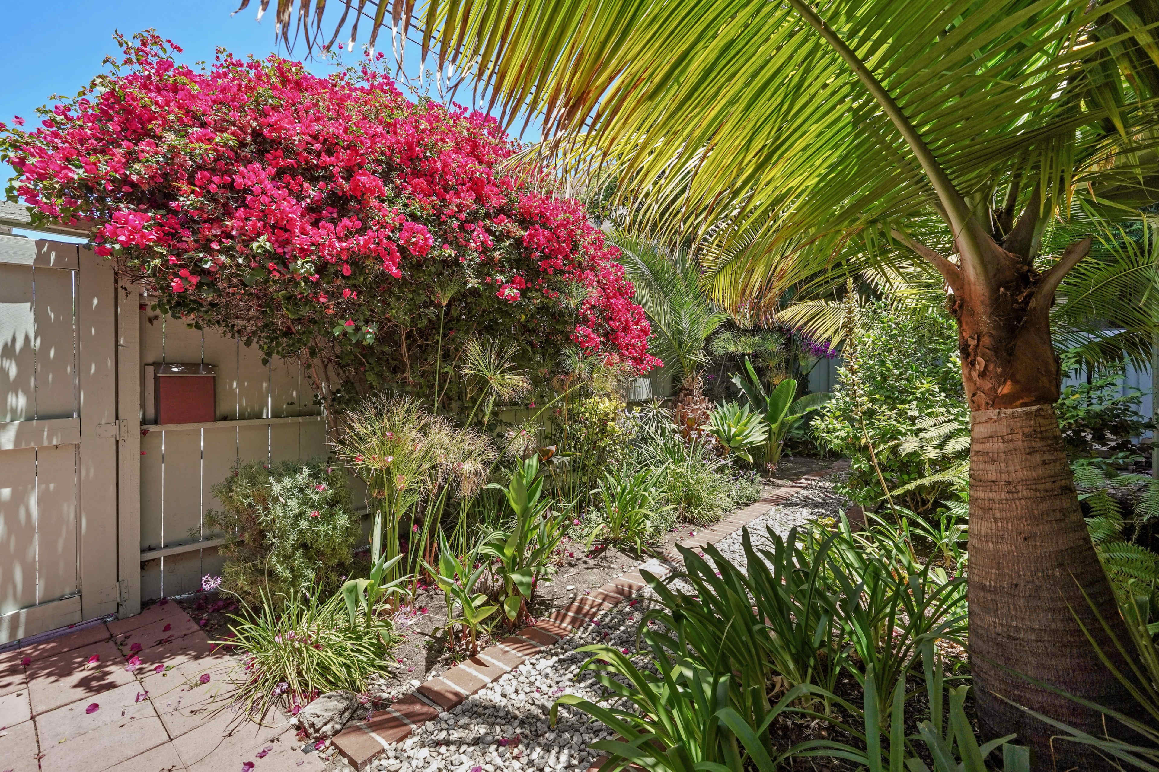 A lush garden path bordered by vibrant flowering plants and palm trees, leading to a wooden fence.
