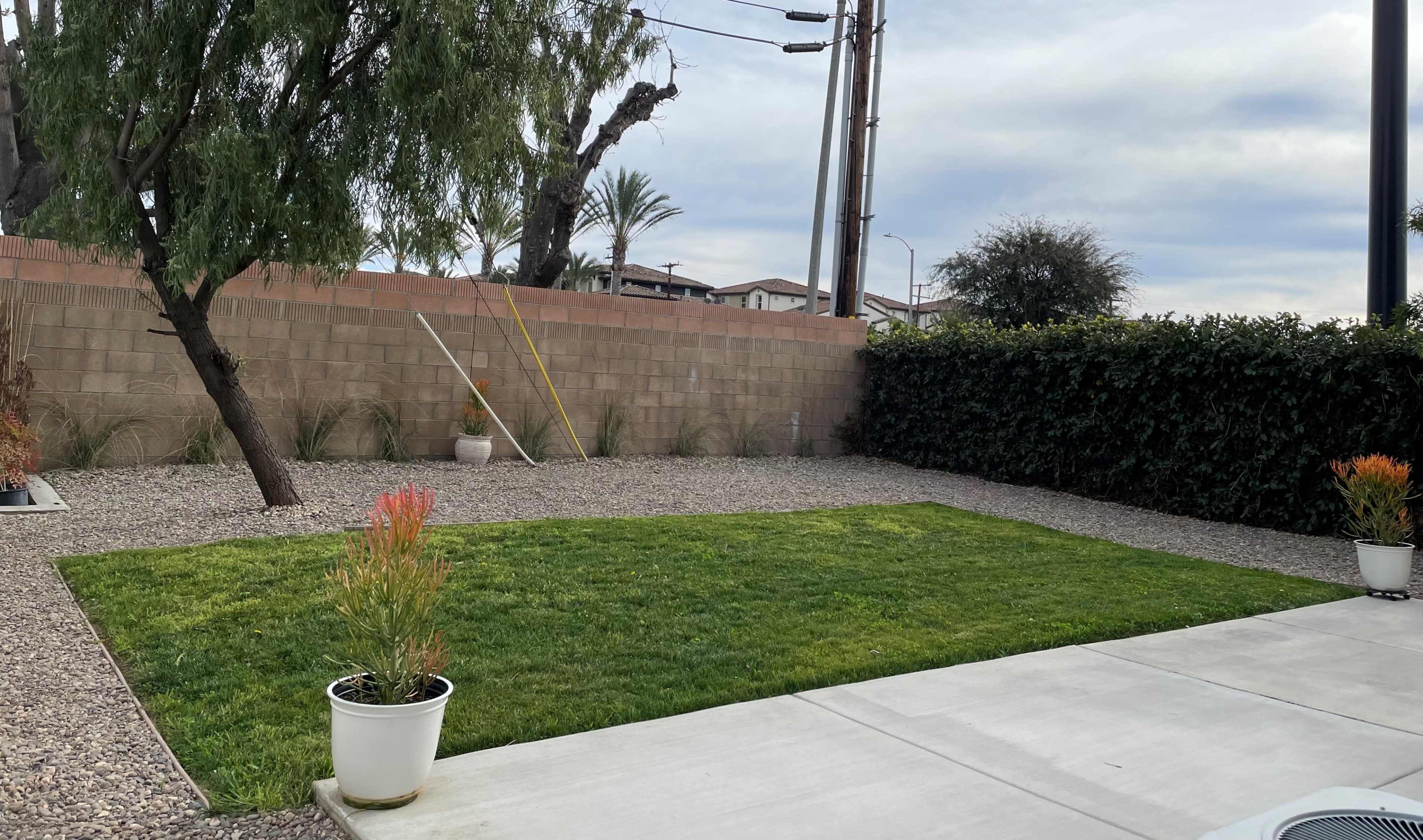 A landscaped backyard with a patch of grass surrounded by gravel, potted plants, and a wall in the background.