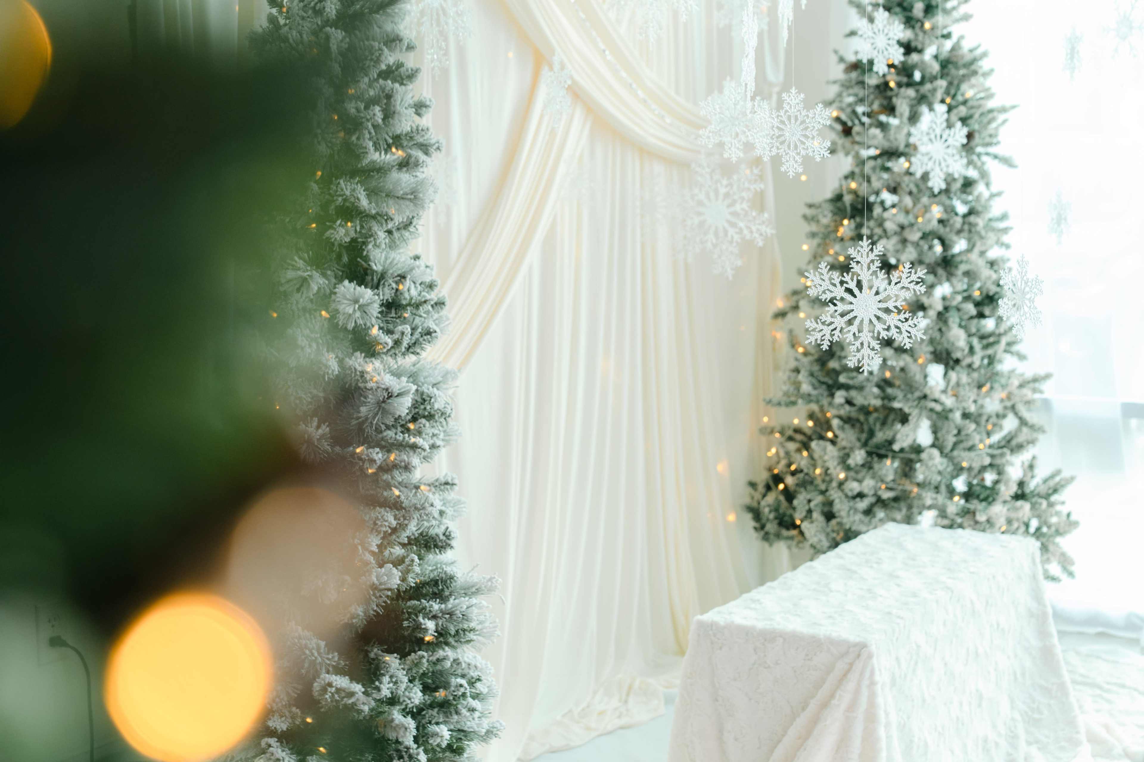 The image features a decorated space with two Christmas trees flanking a table, set against a backdrop of white drapery and snowflake decorations.
