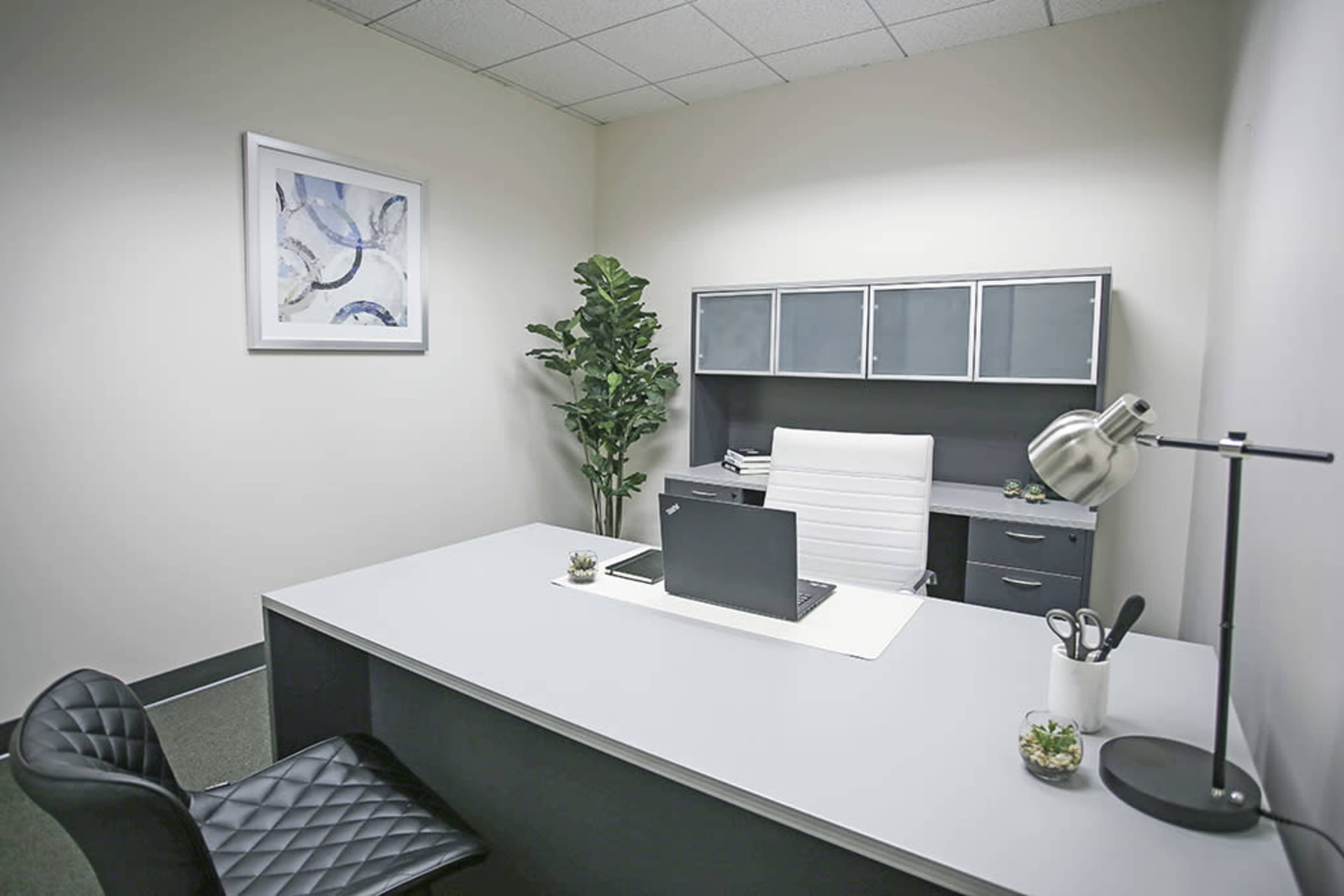 A modern office space with a gray desk, a white chair, a laptop on the desk, and a decorative plant in the corner.