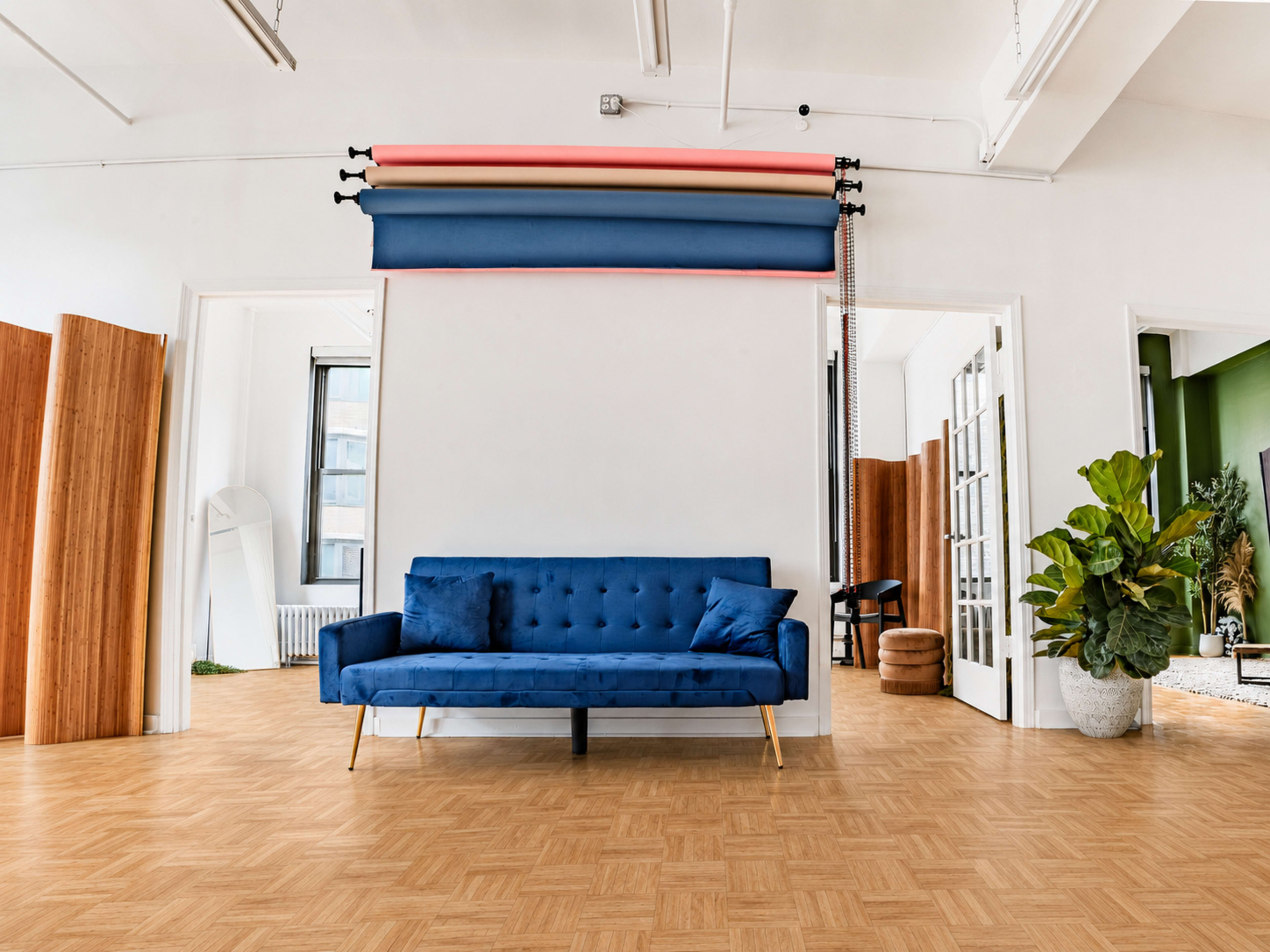 The image shows a bright, minimalistic studio space featuring a blue sofa, a backdrop support system with colored rolls, and various indoor plants.