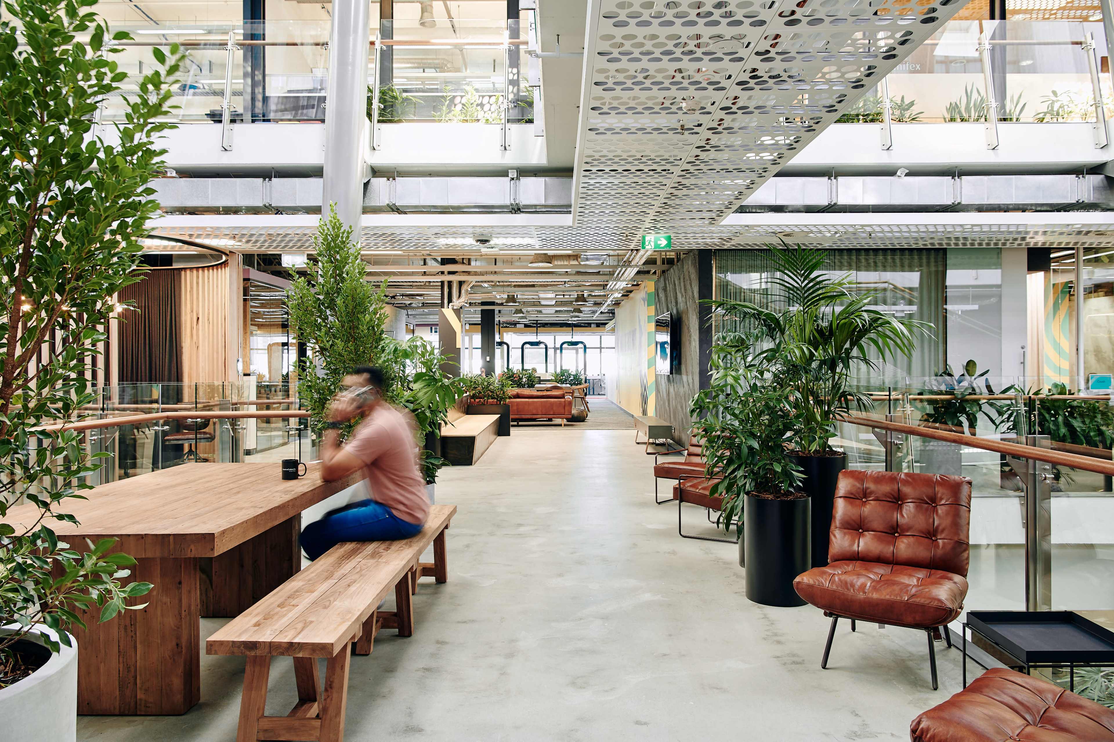 The image shows a modern office space with wooden tables, comfortable seating, and numerous plants in a bright, open layout.