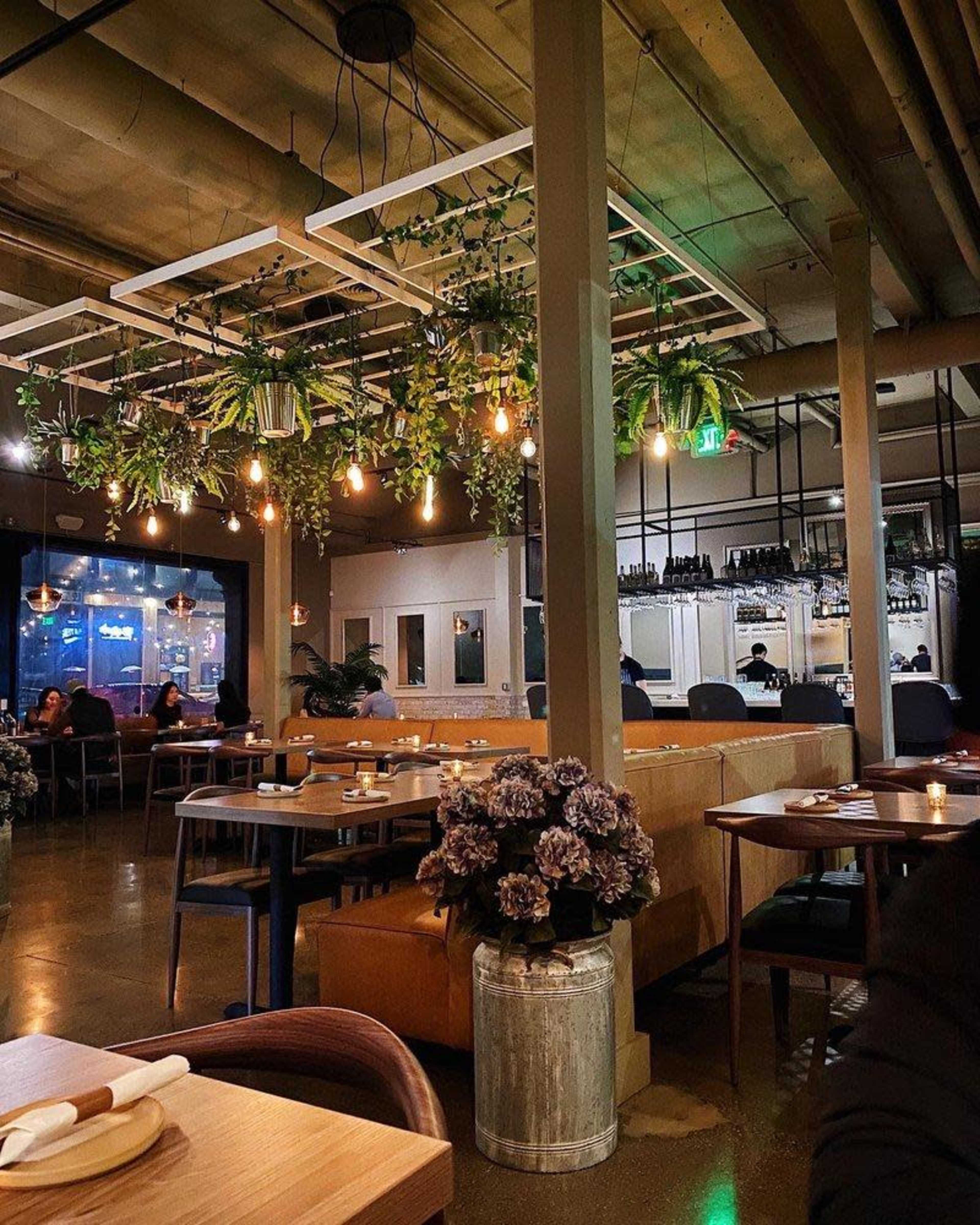 The image shows a modern restaurant interior featuring wooden tables, plants hanging from the ceiling, and warm pendant lights, with customers seated at tables.