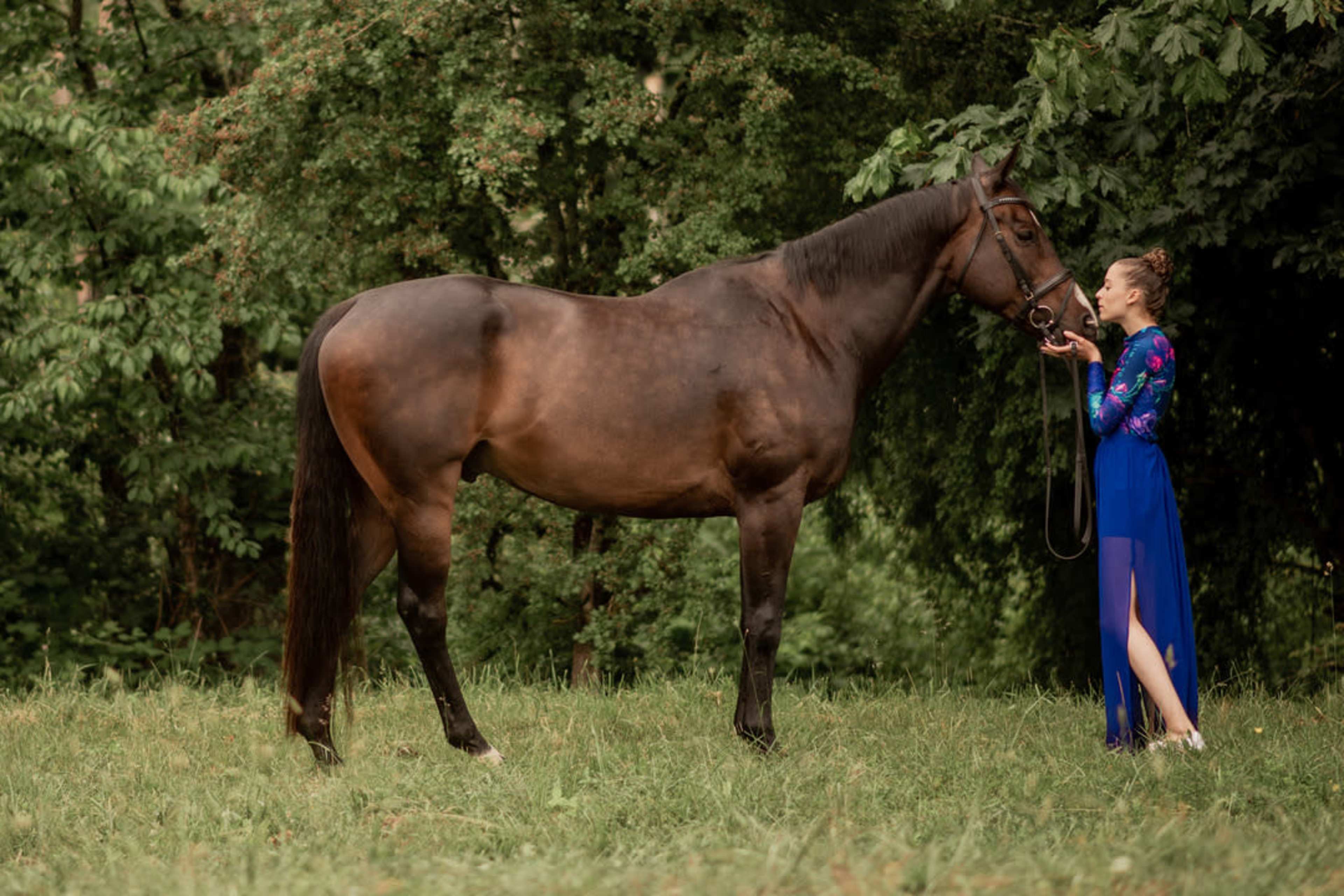 A woman in a blue skirt interacts with a brown horse in a grassy area surrounded by trees.
