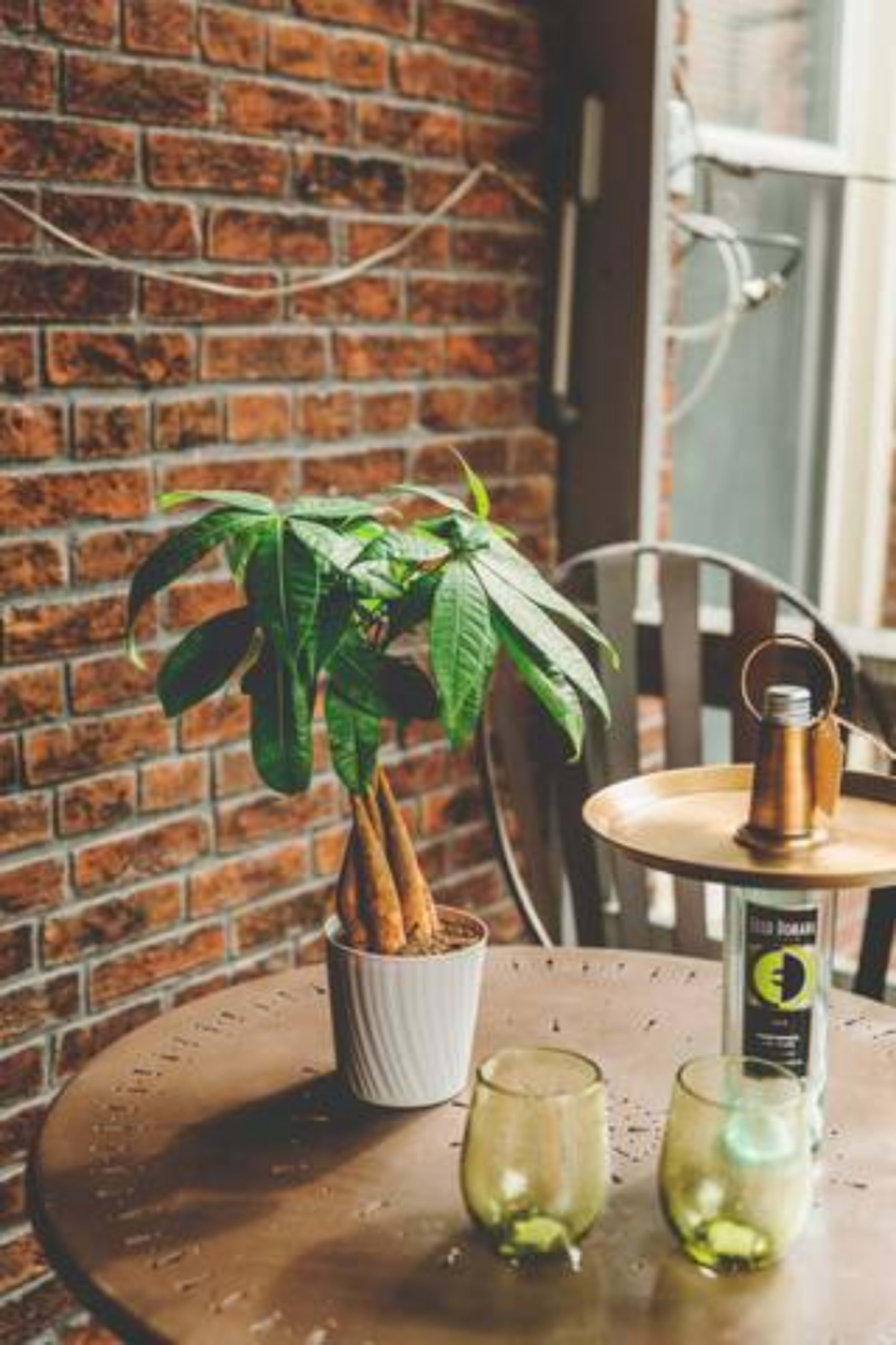 A potted plant sits on a round wooden table next to two green glasses and a small lantern, set against a brick wall.