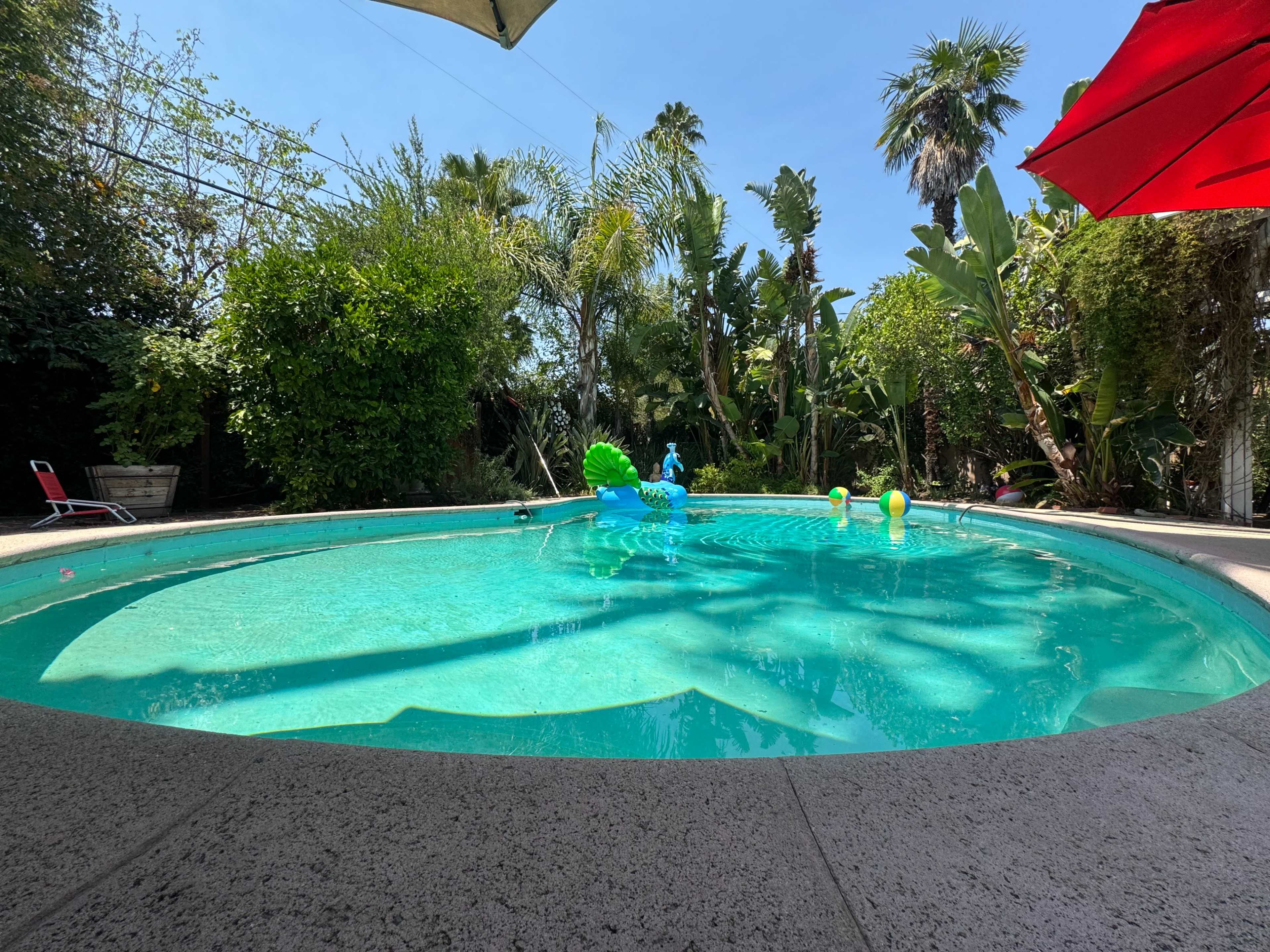 The Classic Pool Oasis in the Valley Image in Sherman Oaks, Sherman oaks, CA