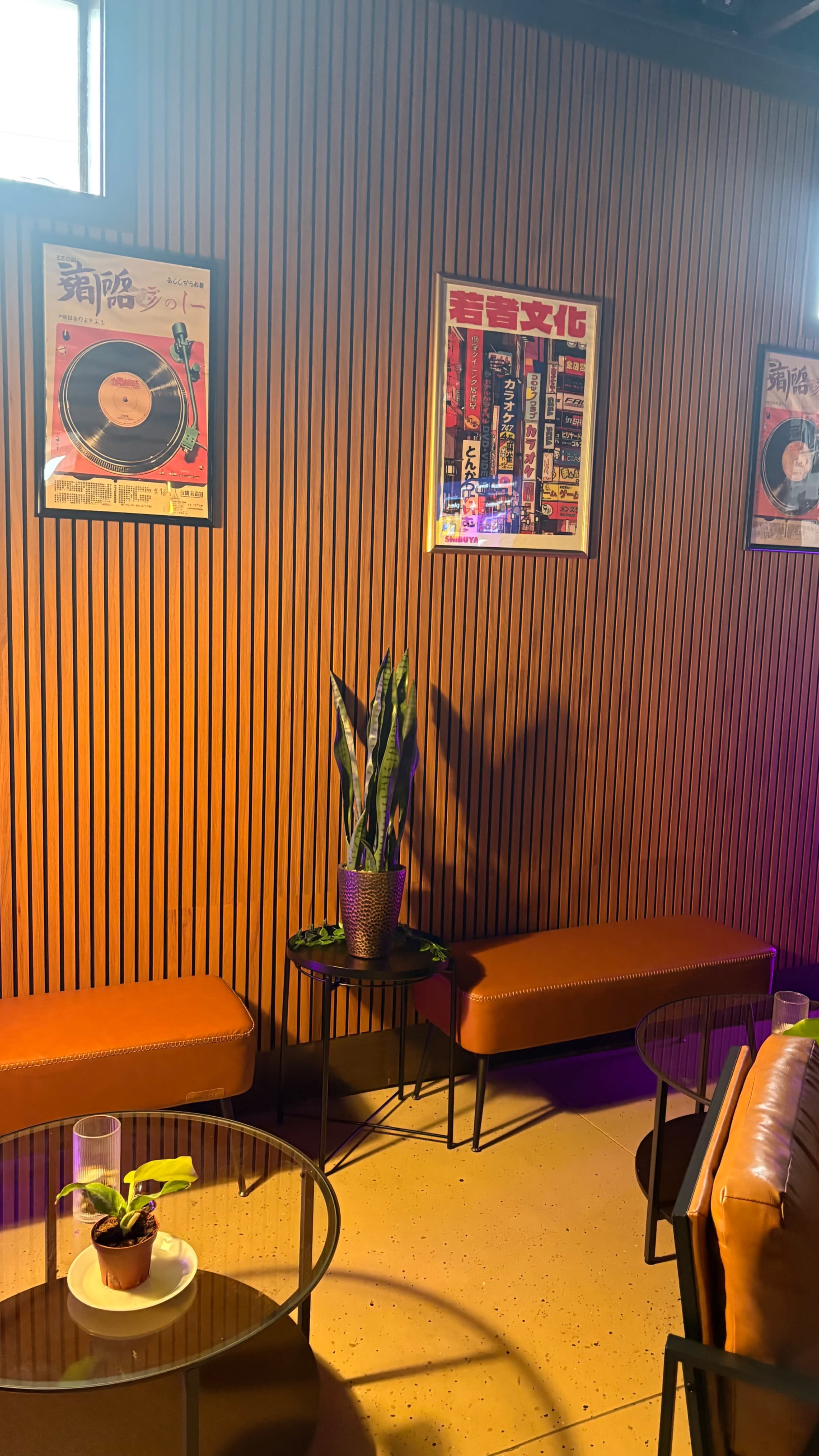 The image shows a cozy interior with wooden paneling, a potted plant on a small table, and framed vintage record posters on the walls.