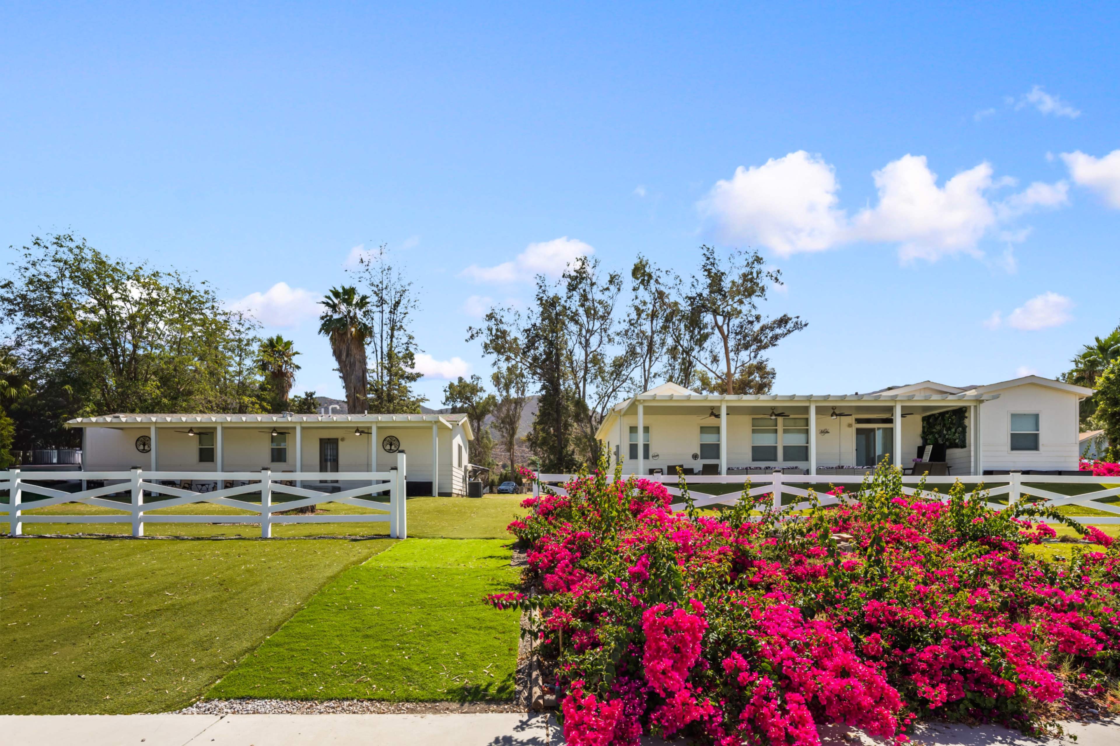 The image features two white houses set against a clear blue sky, with vibrant pink flowers and green grass in the foreground.
