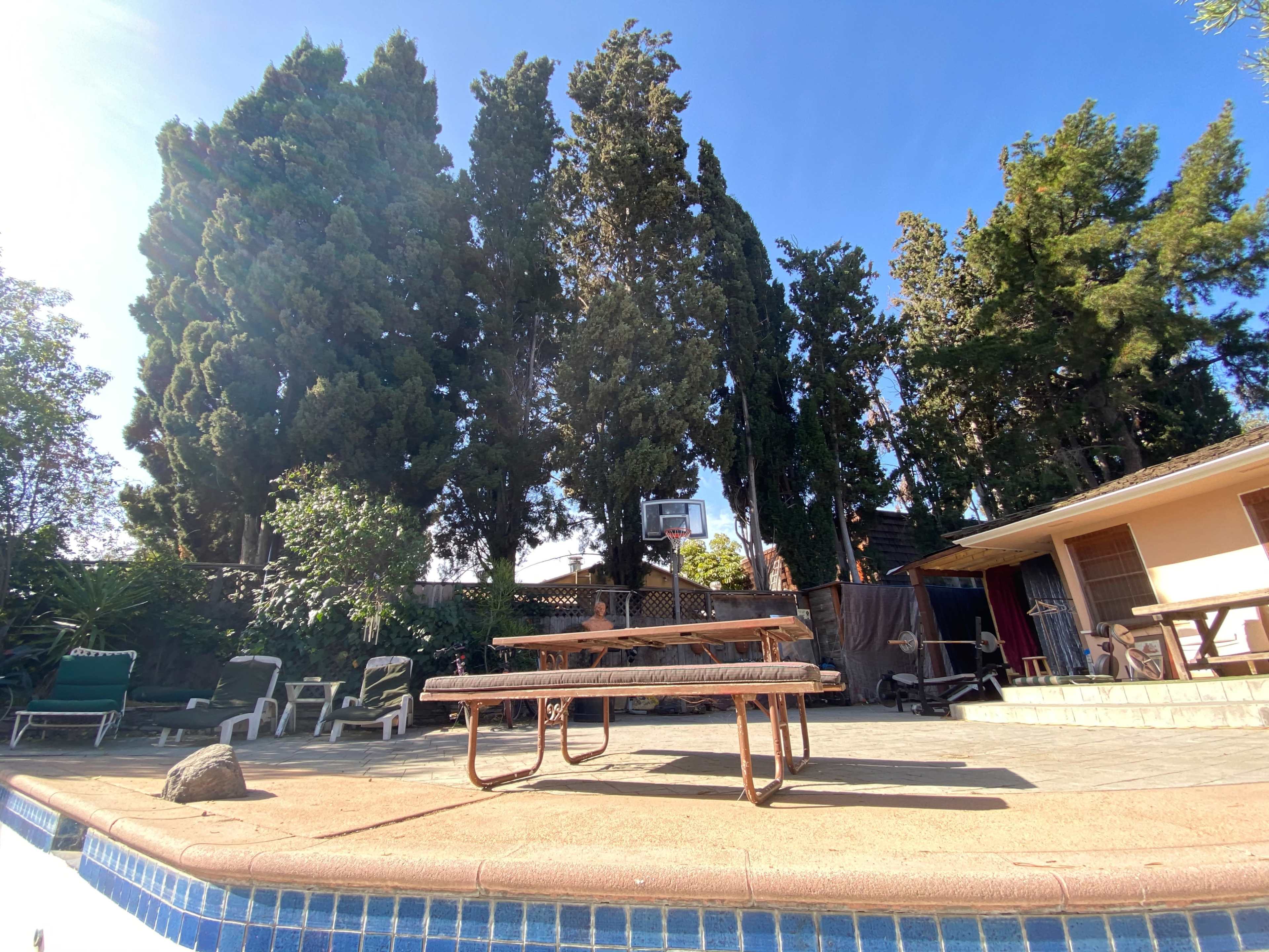 A backyard scene features a picnic table near a swimming pool, surrounded by tall trees and some outdoor seating.