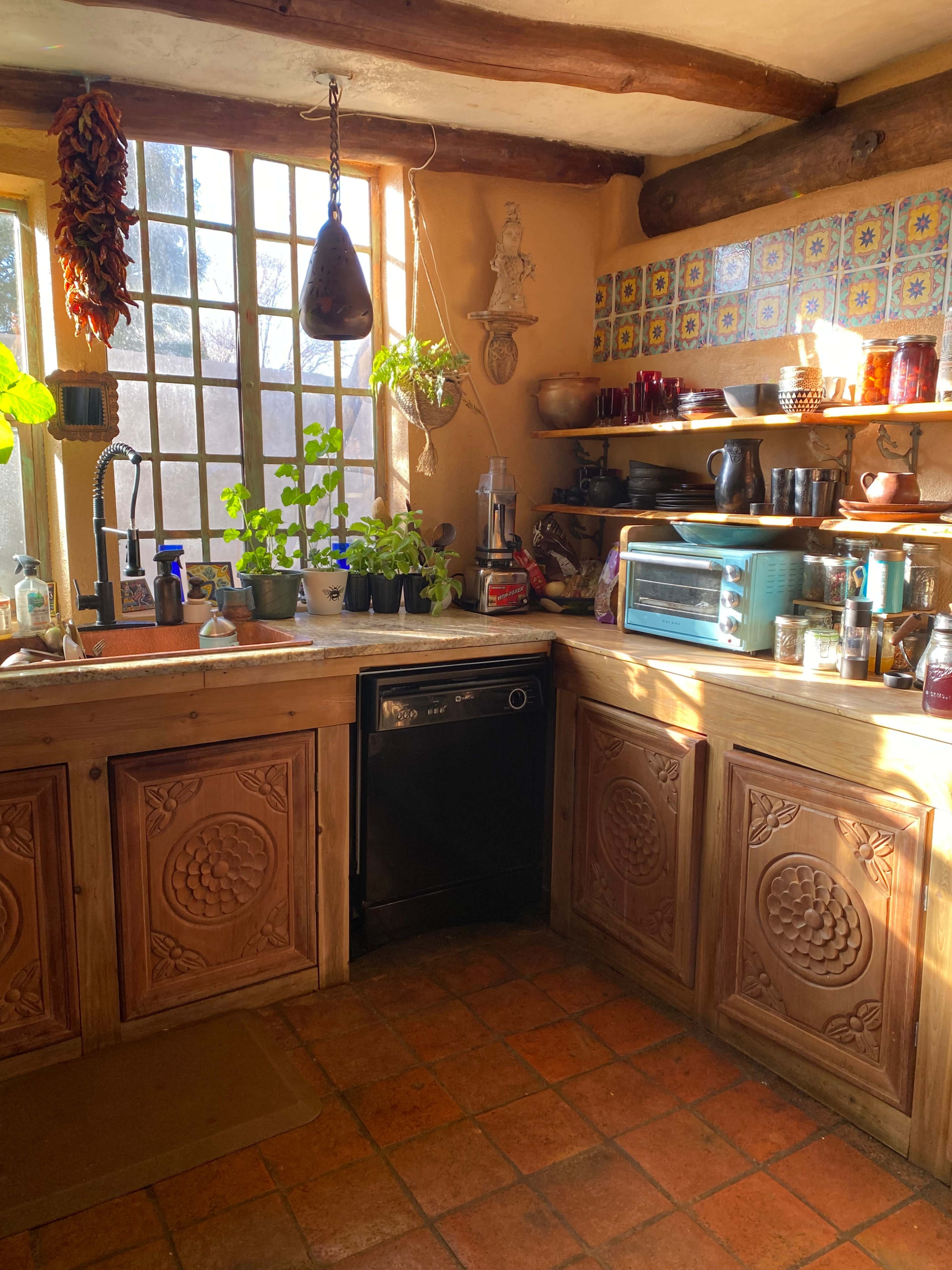 The image shows a rustic kitchen with wooden cabinets, a variety of plants on the countertop, and colorful tiled walls.