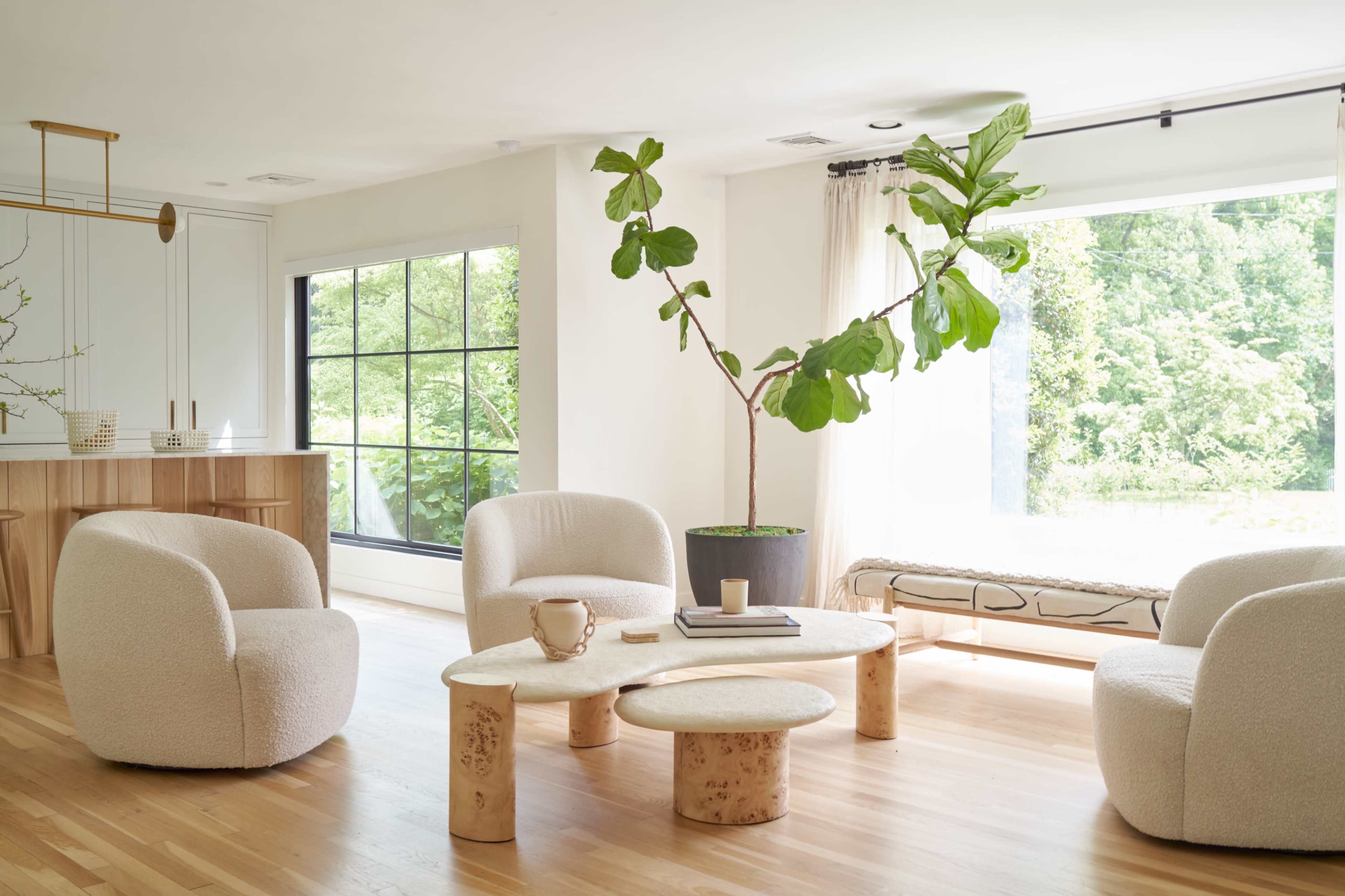 The image shows a modern living area with four upholstered chairs, a round coffee table made of natural materials, and a large plant near a window that provides natural light.