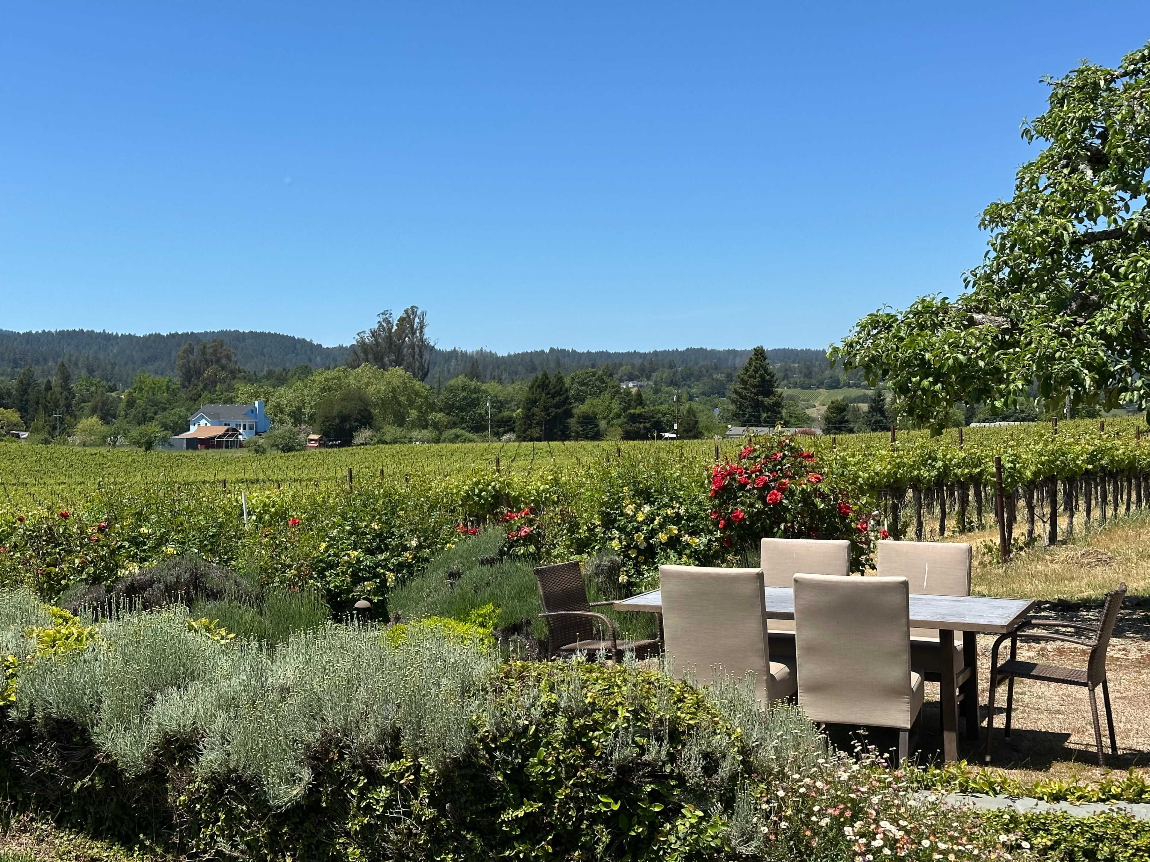 Stunning Boutique Vineyard Estate for Workshops, Retreats, Photoshoots, Off-Sites & Gatherings Image in , Sebastopol, CA