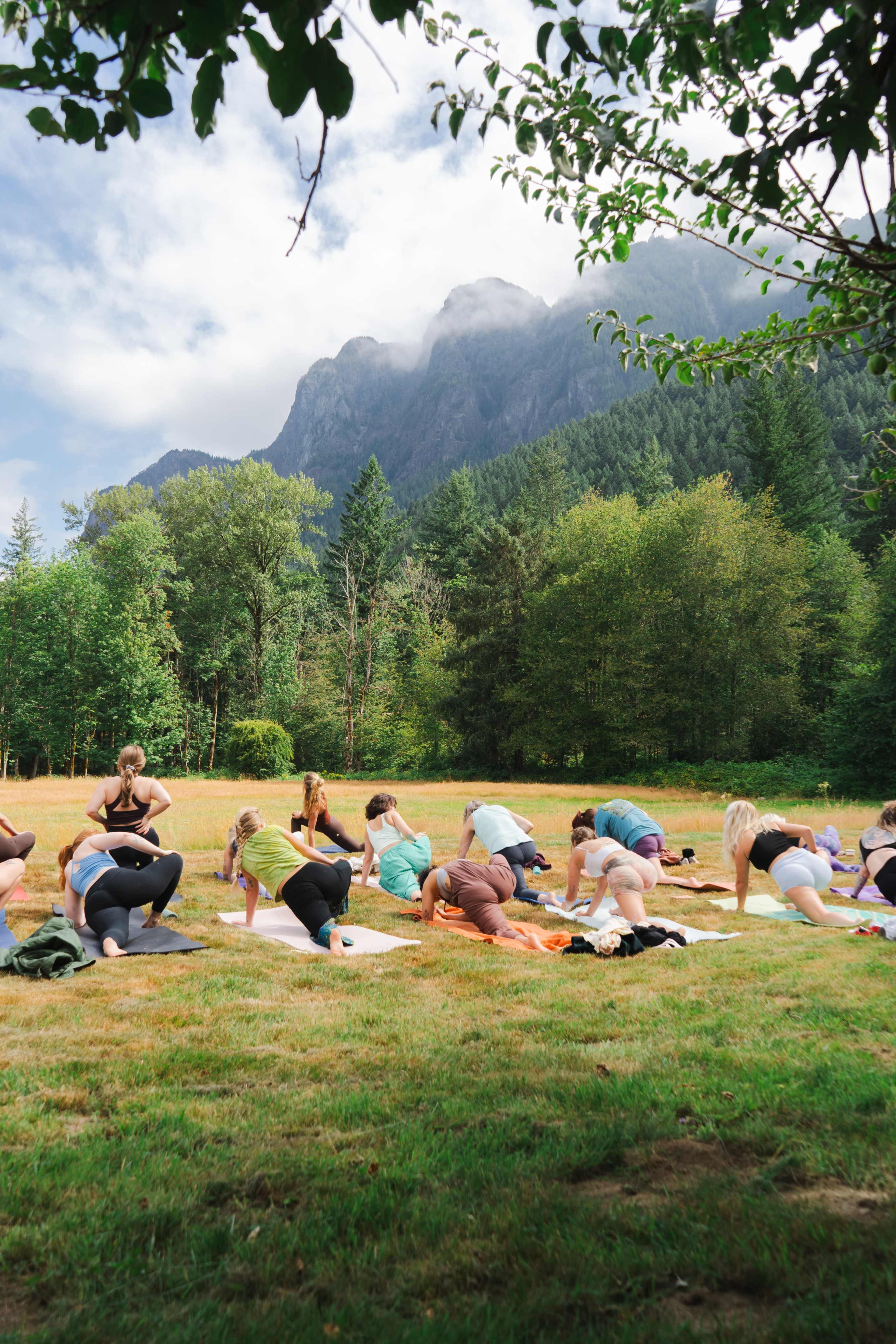 A group of people practice yoga on mats in a green, open field surrounded by trees and mountains.
