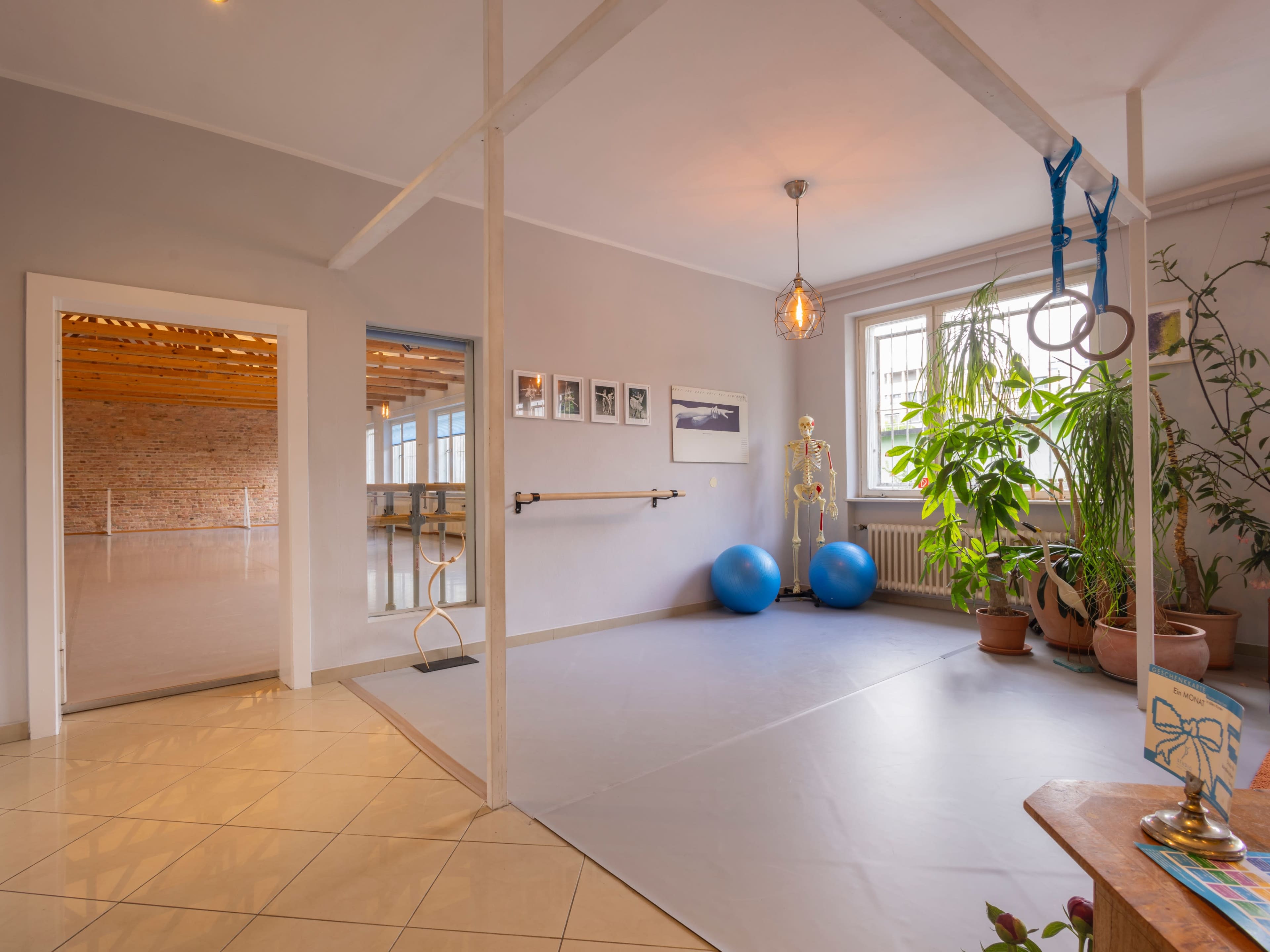 A spacious exercise room featuring gymnastic rings, exercise balls, a ballet barre, a skeleton model, and large windows with plants.