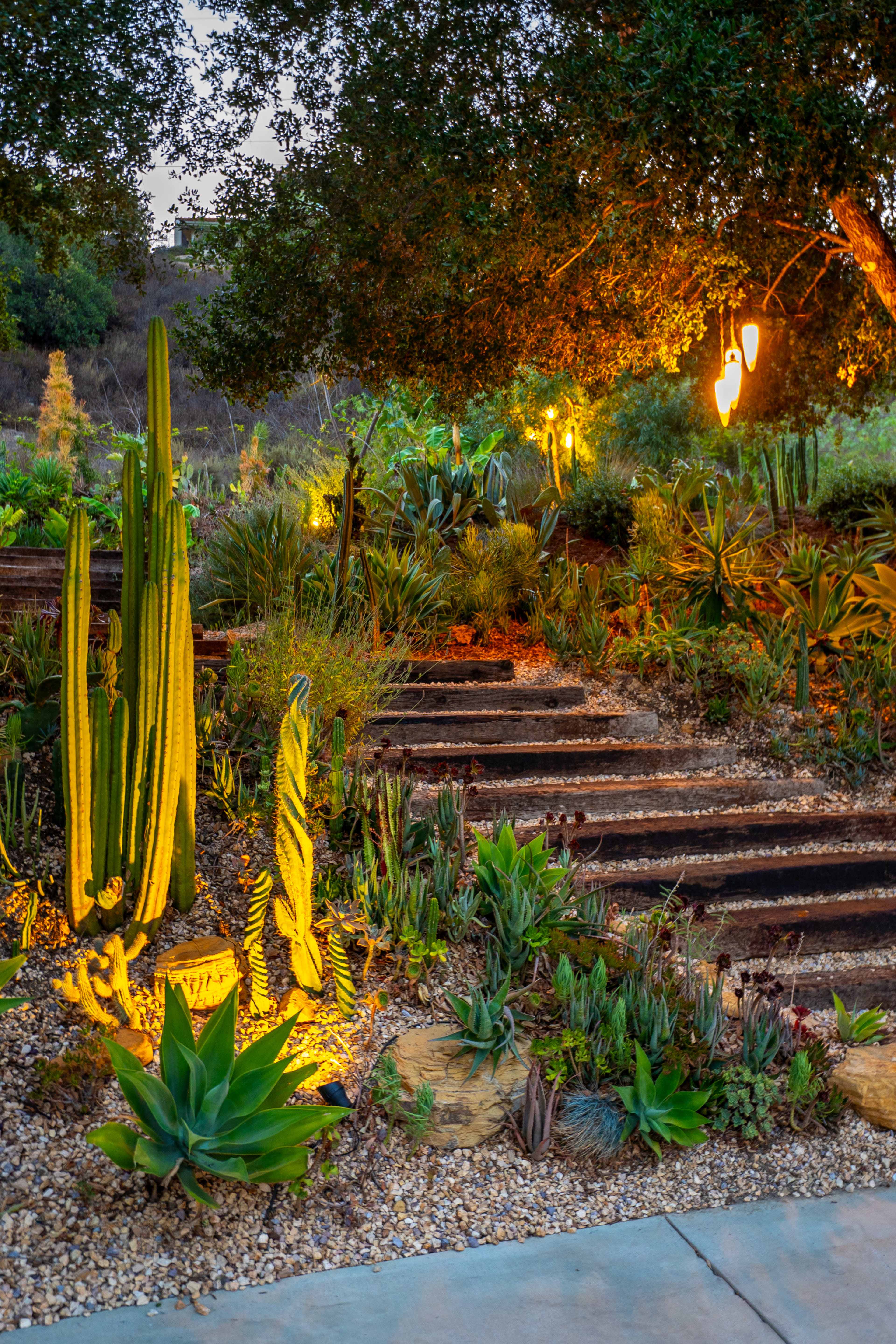 The scene features a landscaped garden with a variety of cacti and succulents adjacent to a set of wooden stairs, illuminated by warm lights among the greenery.