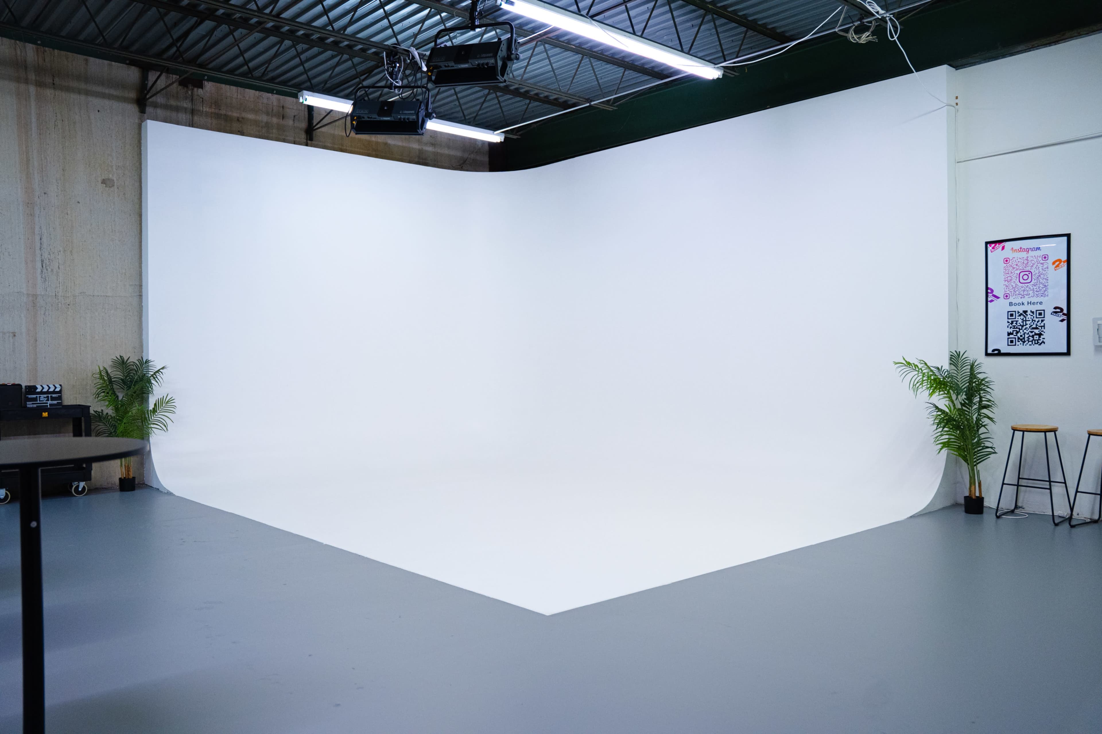 The image shows a clean, empty photography studio with a seamless white backdrop and a couple of potted plants in the corners.