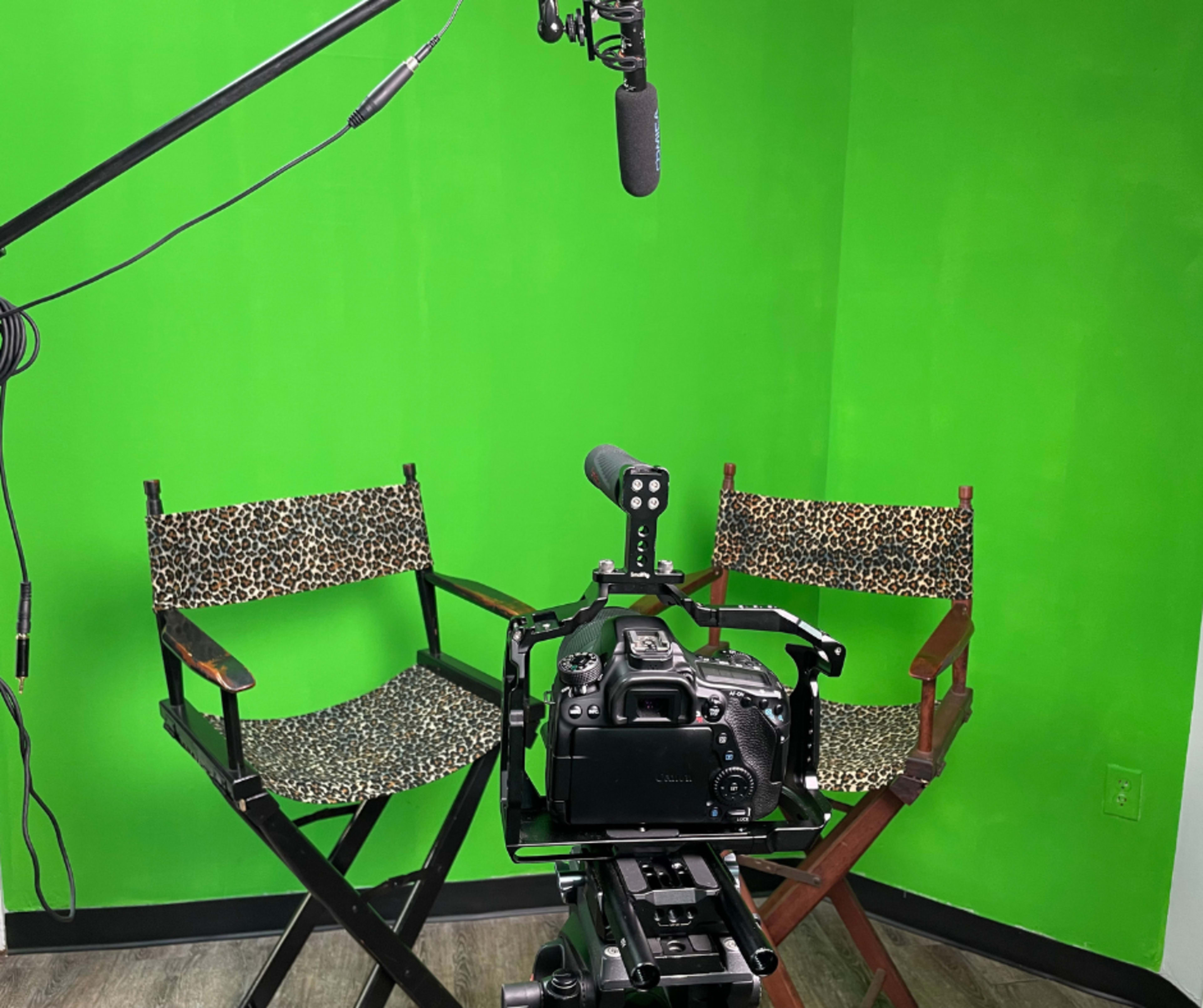A camera and microphone are set up in front of two leopard-print chairs against a green screen backdrop.
