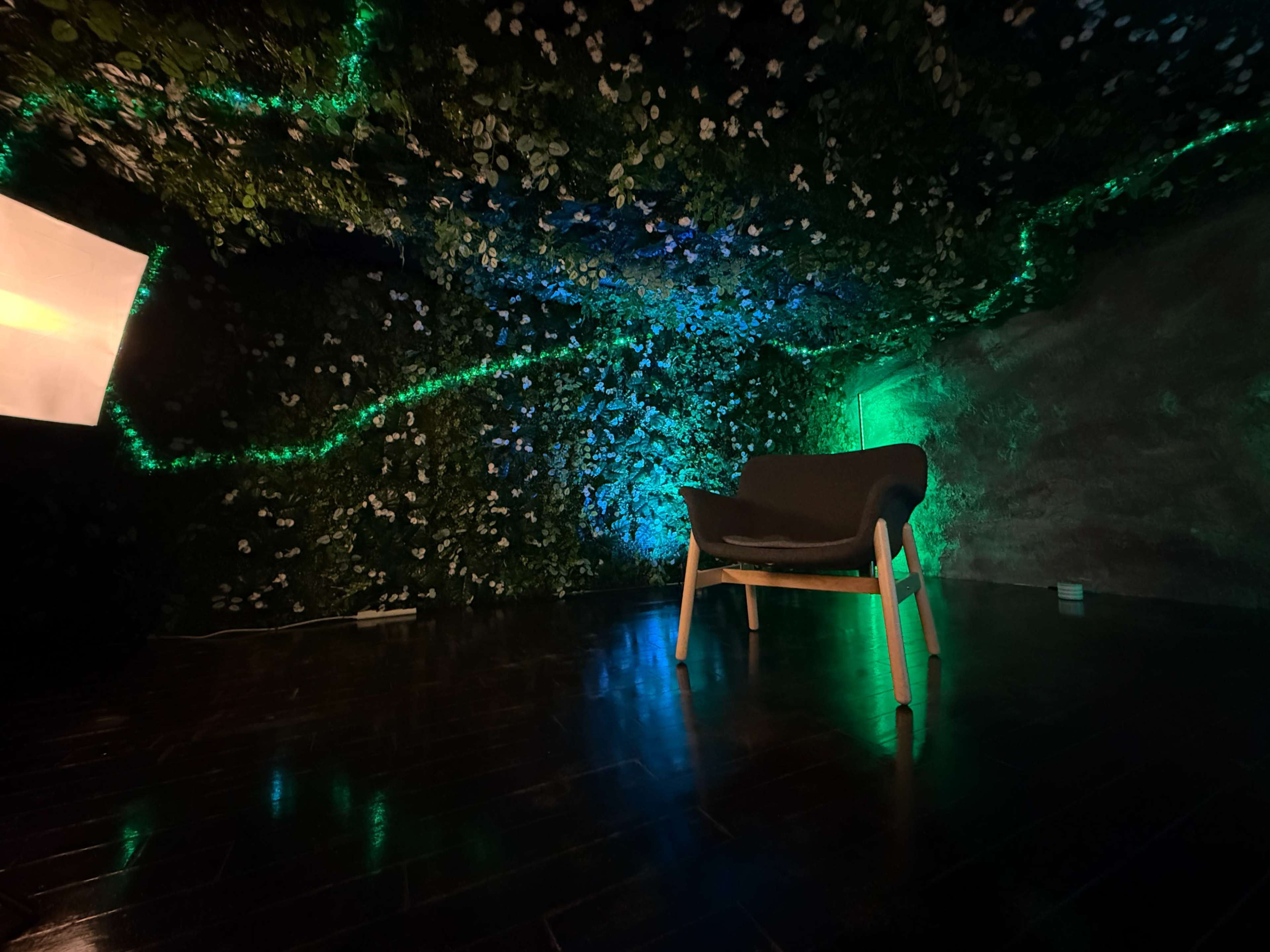 Jungle Studio Room – Photo/Video Shoots Image in Central City, Kelowna, BC