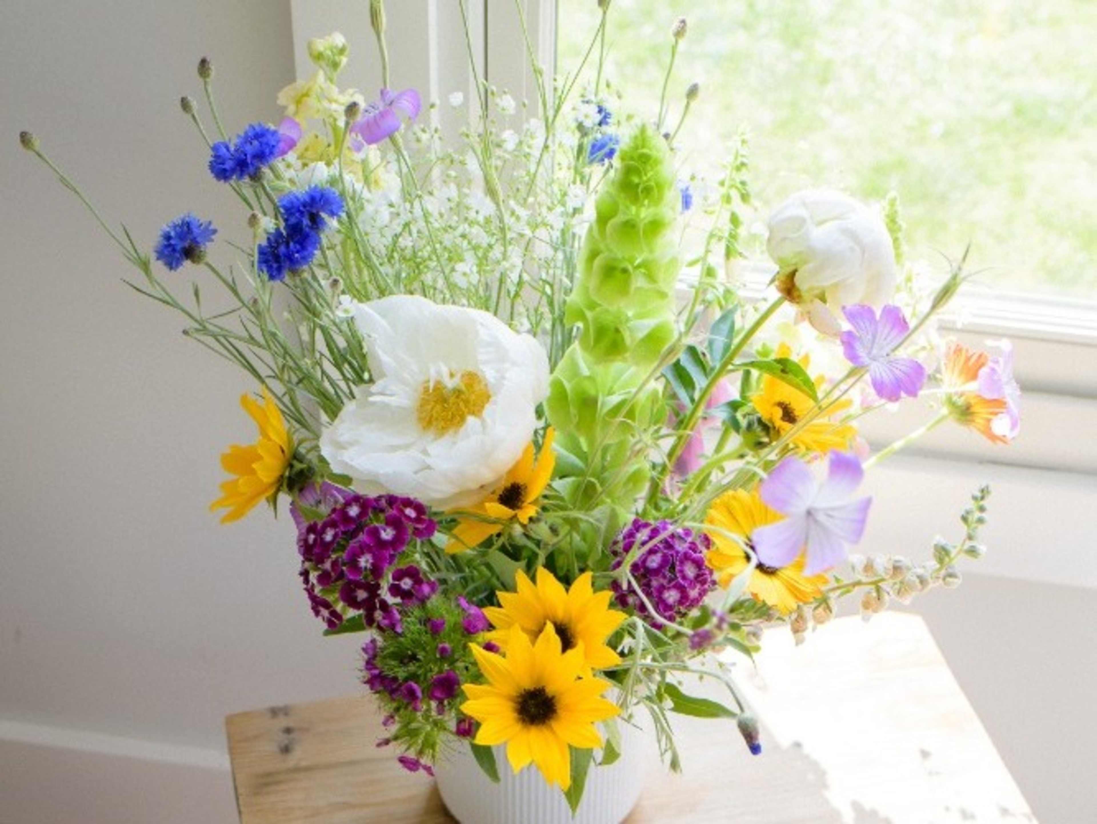 Fresh Wild Flowers