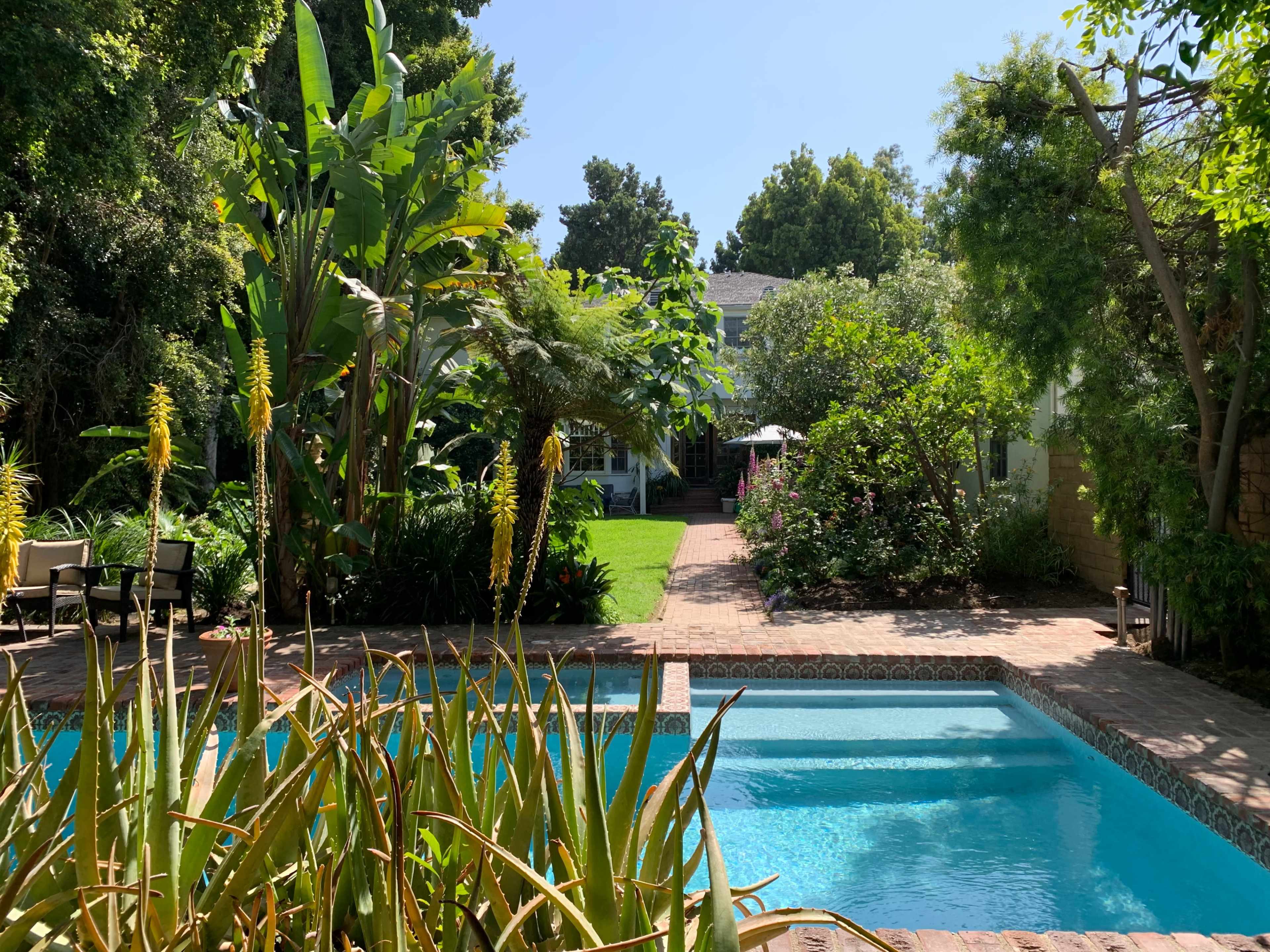 A landscaped backyard with a swimming pool surrounded by tropical plants and a lawn, leading to a path and a house in the background.