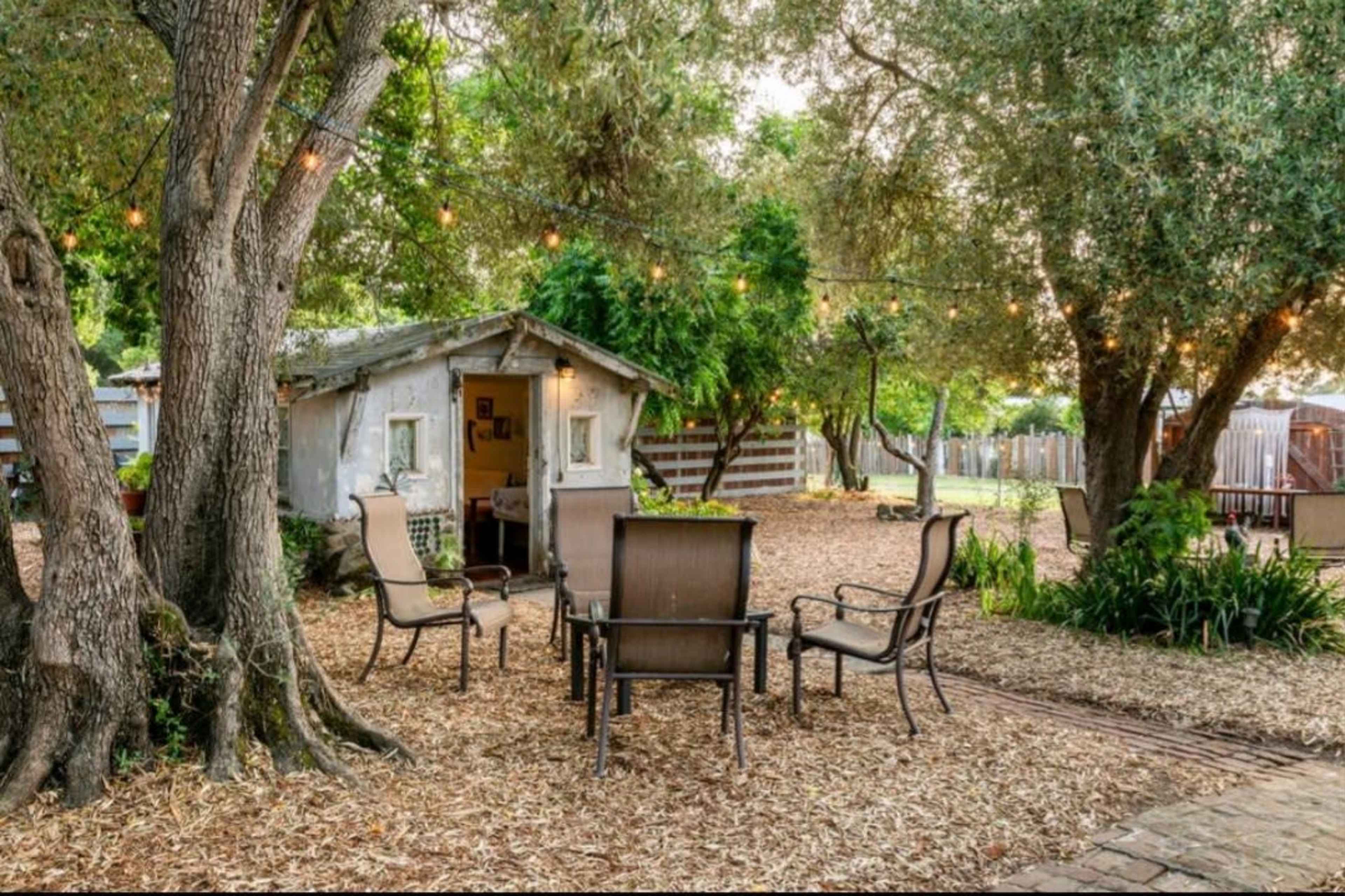 A small, weathered shed is surrounded by seating and lit by string lights in a garden setting.