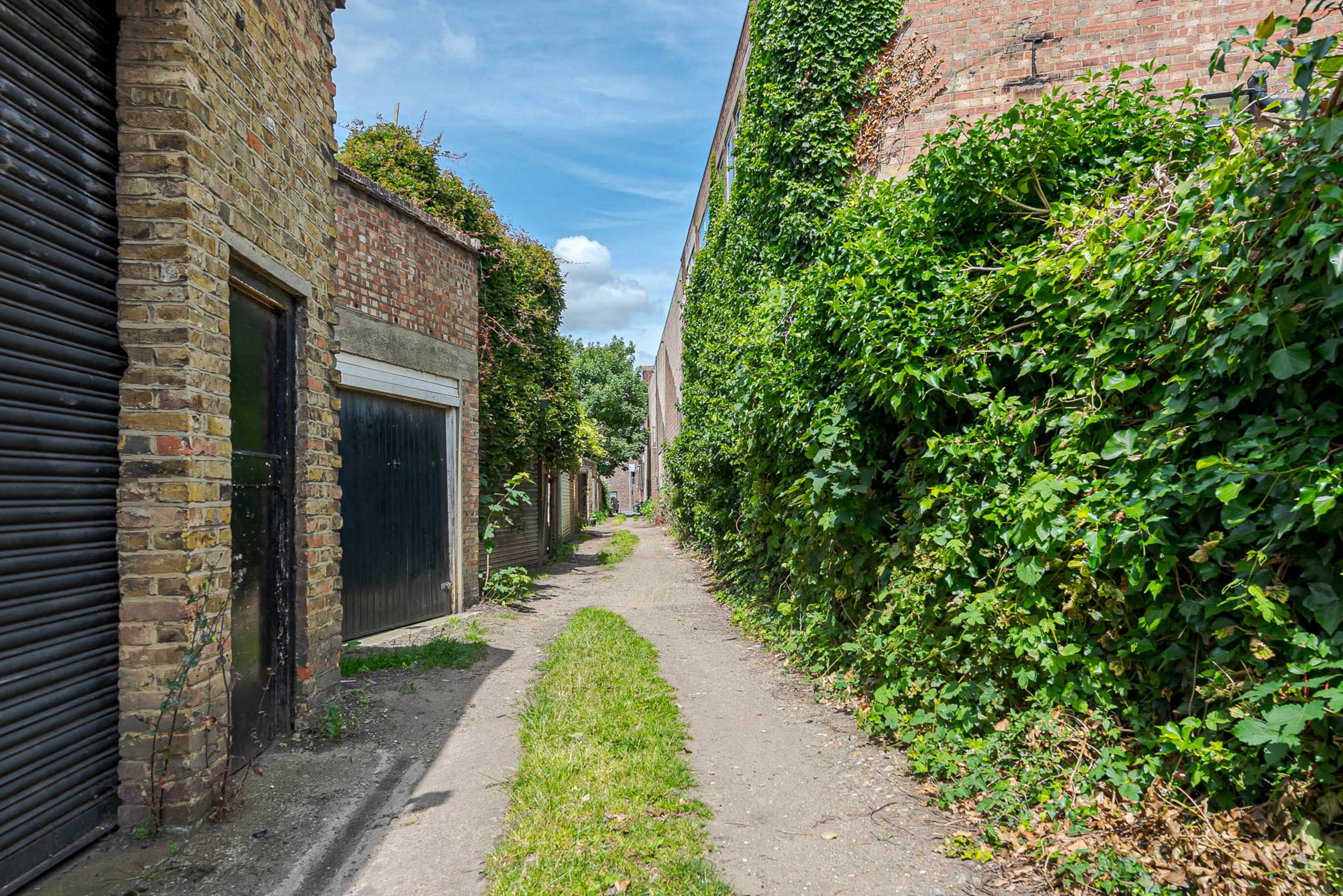 A narrow path lined with overgrown greenery runs between brick buildings on either side.