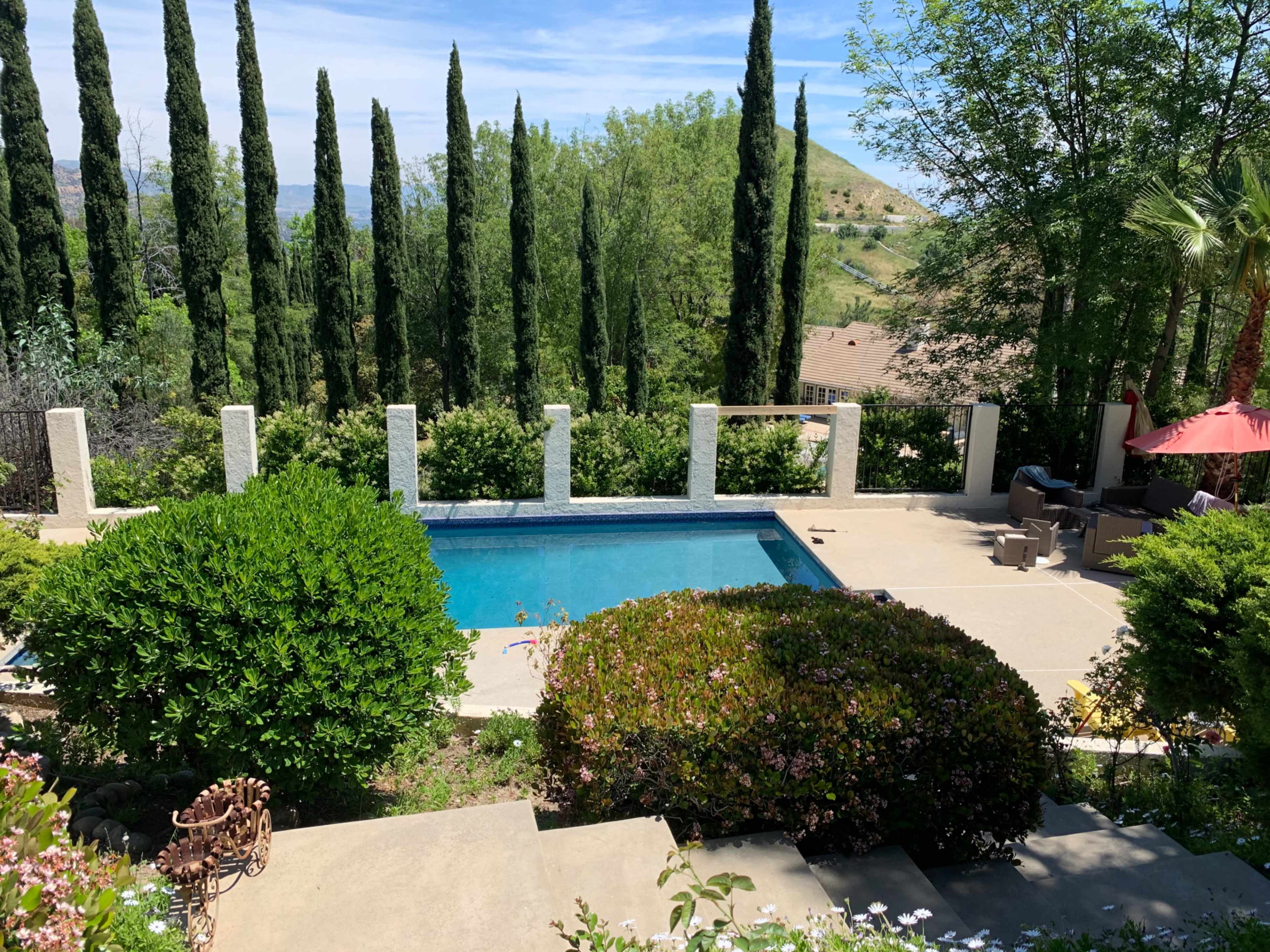 The image shows a backyard with a swimming pool surrounded by greenery, tall trees, and a patio with lounge chairs.