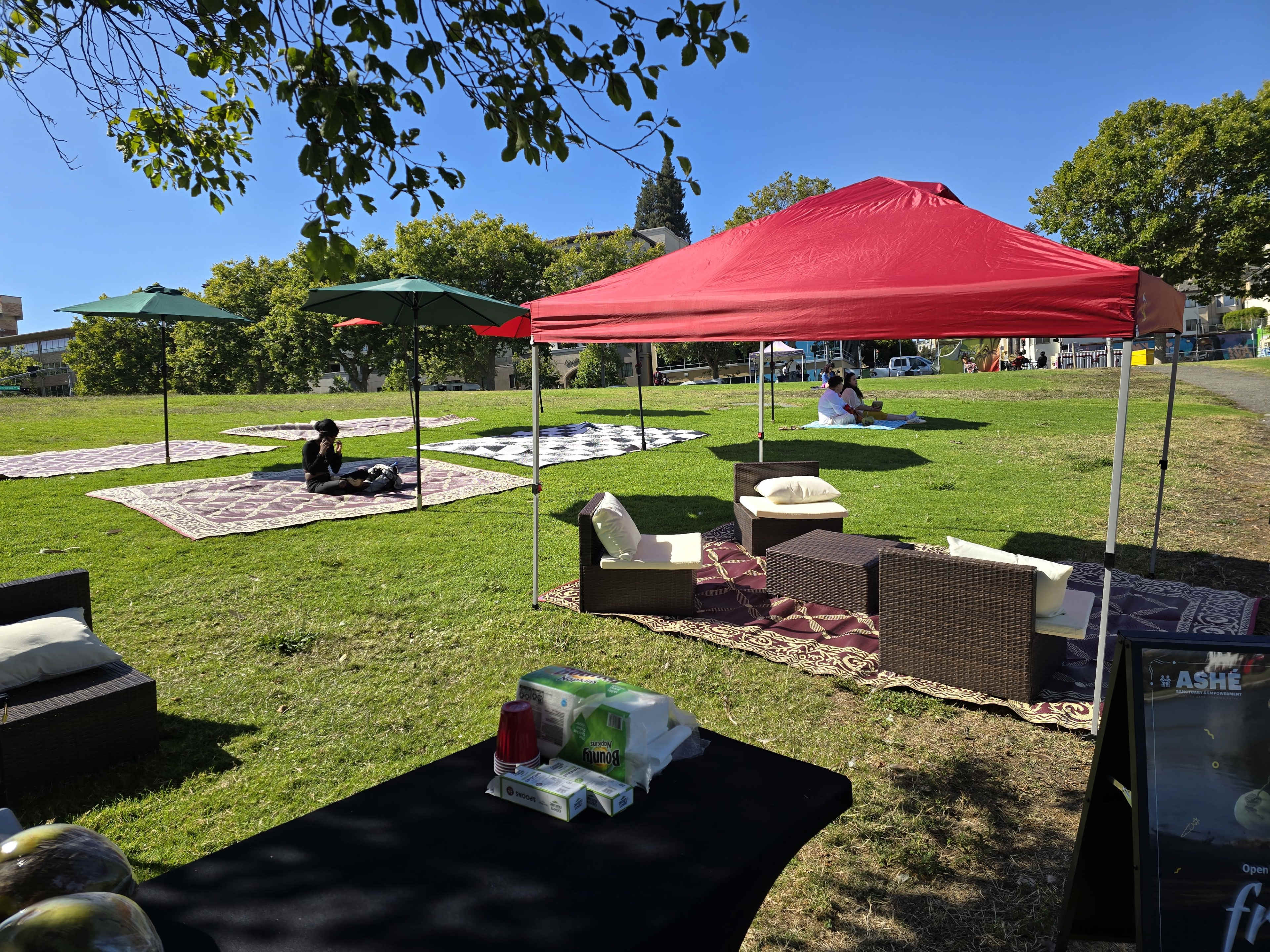 Ashe Umbrella Project - Lakeside Premium Umbrella Oasis Ashé Cafe with Gigabit Internet & Secure Parking Image in Cleveland Heights, Oakland, CA