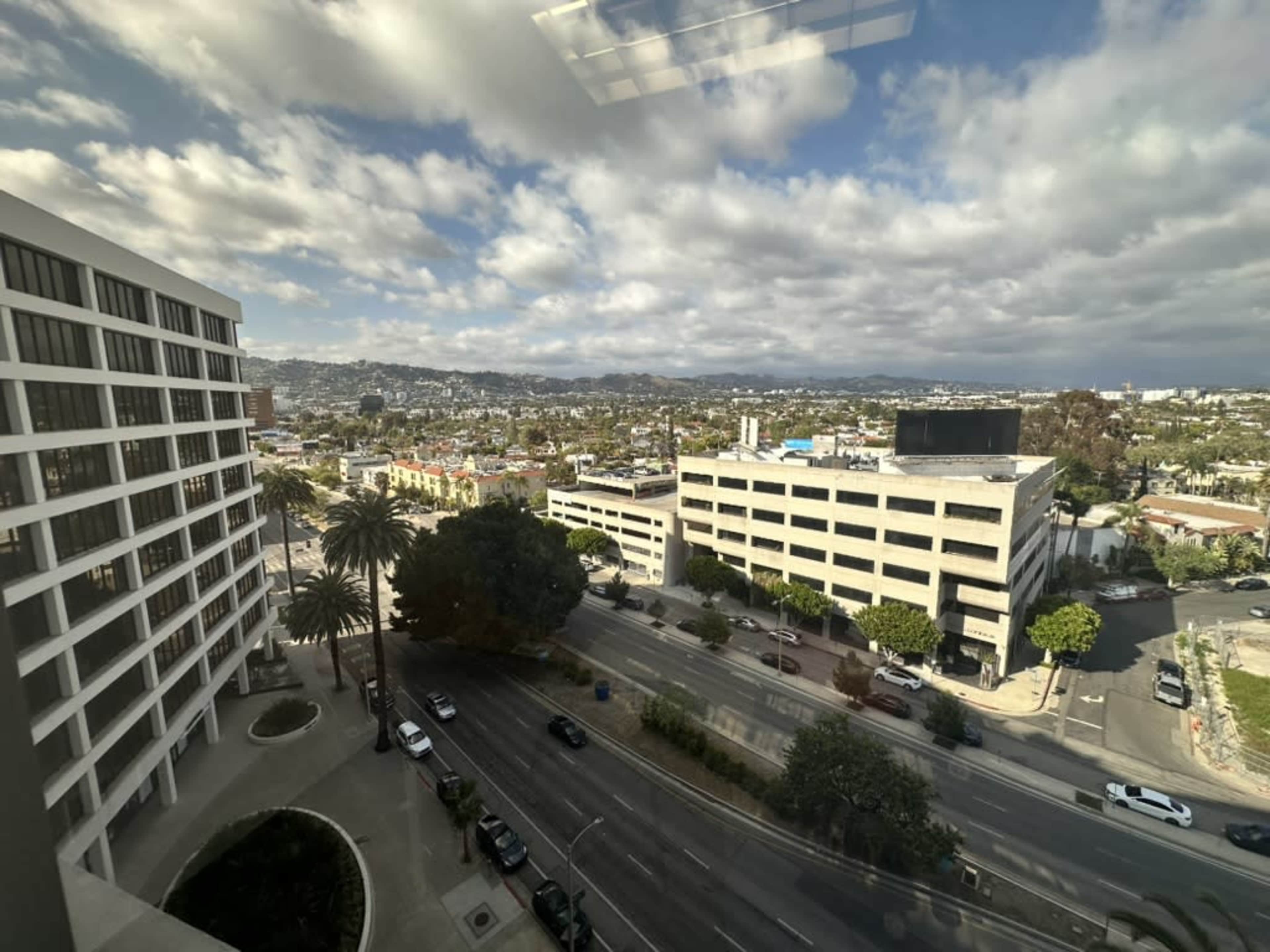 The image shows a view of a cityscape with buildings, palm trees, and a road under a cloudy sky.