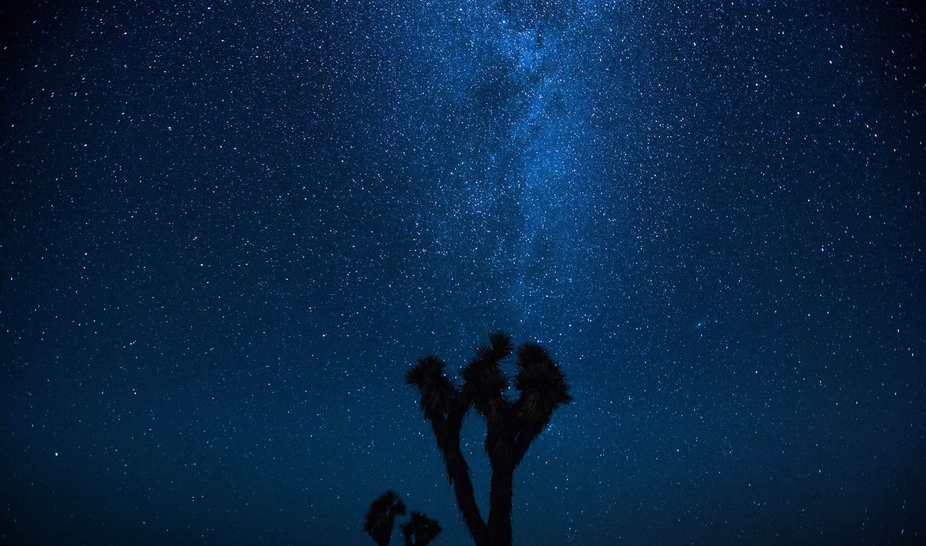 Star Canyon - 40 Acre Mojave Desert Canyons with Mountain Views Image in Mojave, Mojave, CA