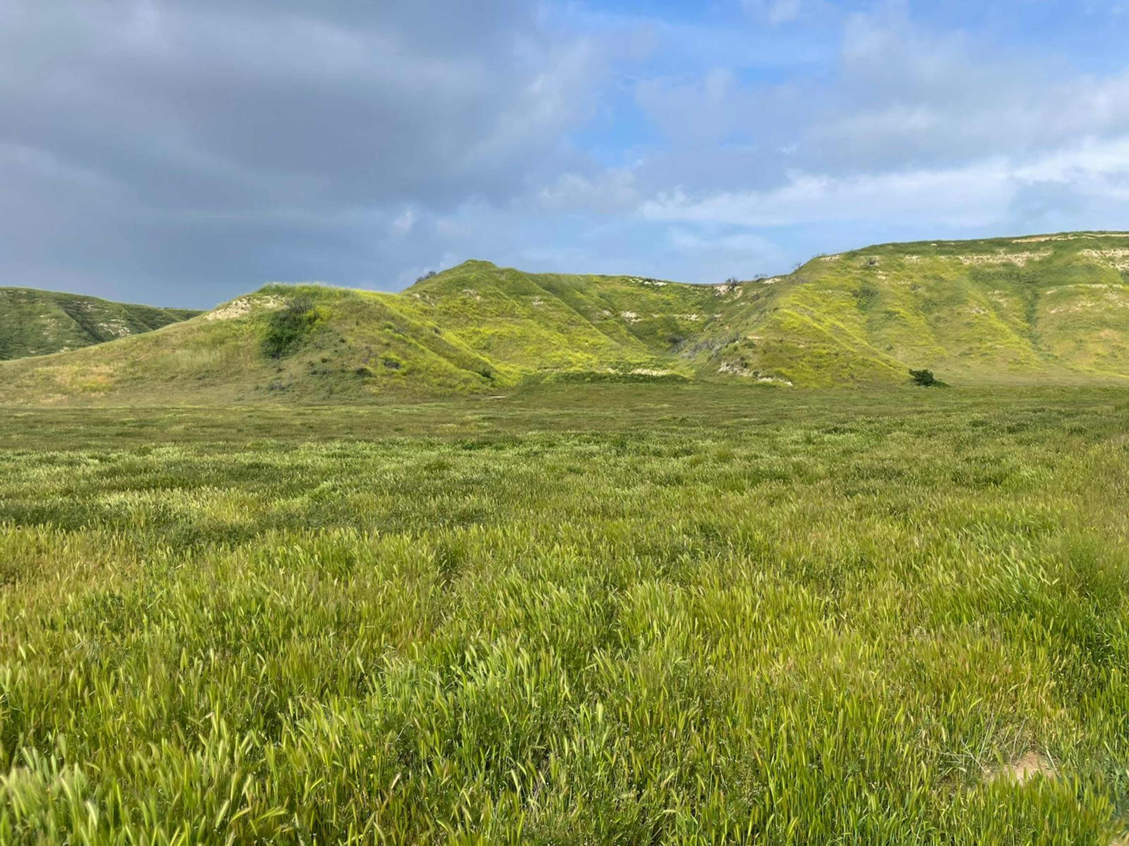 A grassy landscape with rolling hills under a cloudy sky.